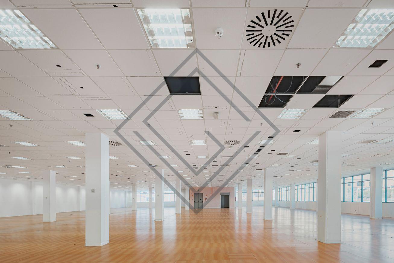 Imagen 12 de la propiedad