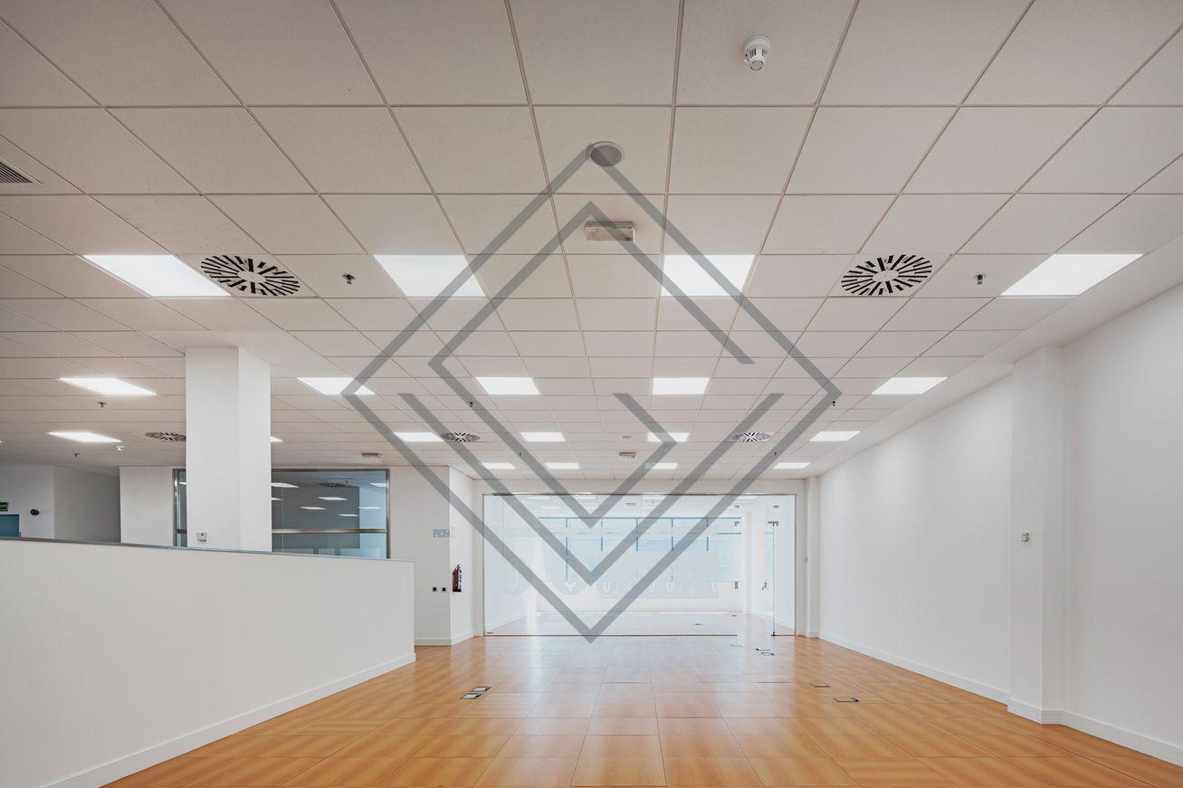 Imagen 10 de la propiedad