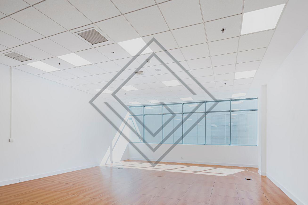 Imagen 11 de la propiedad