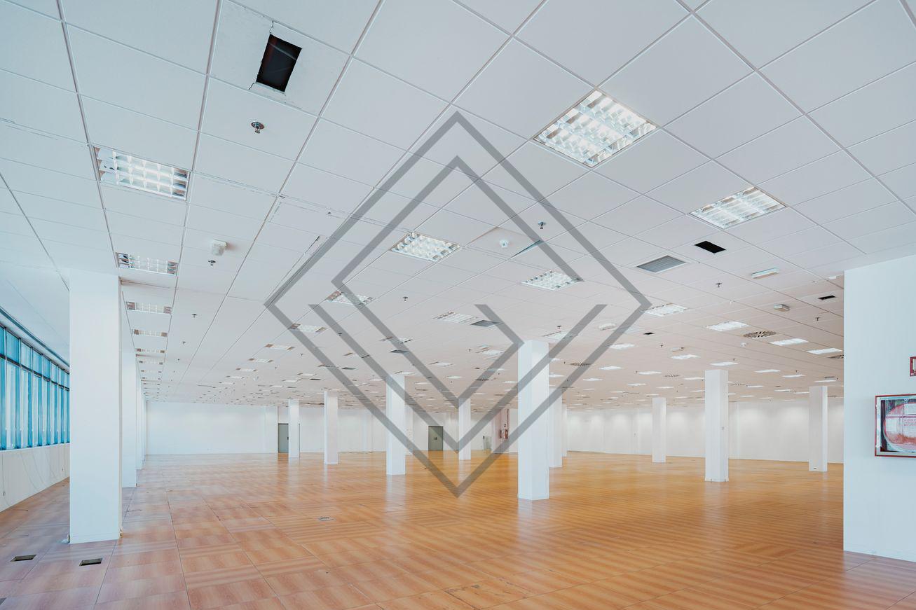 Imagen 13 de la propiedad