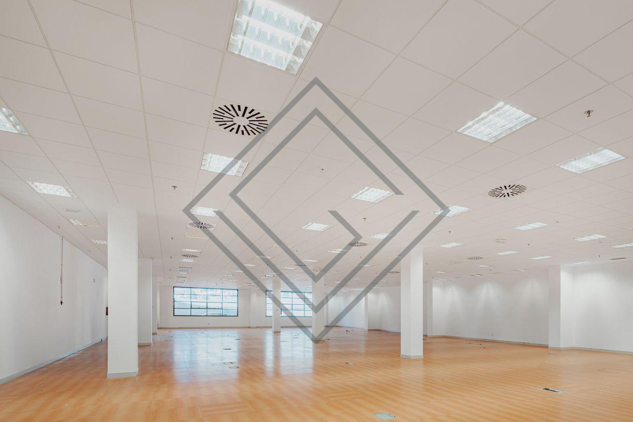 Imagen 16 de la propiedad