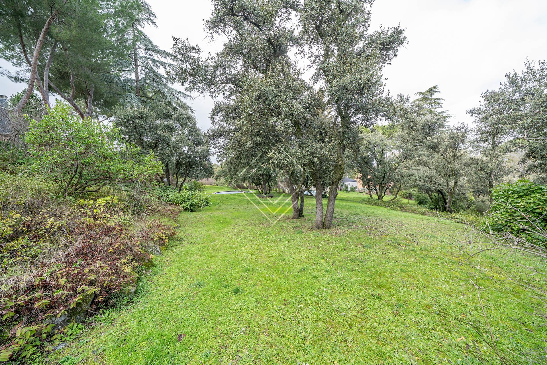 Imagen 2 de la propiedad