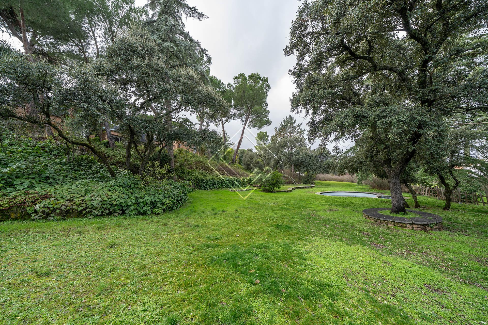 Imagen 4 de la propiedad