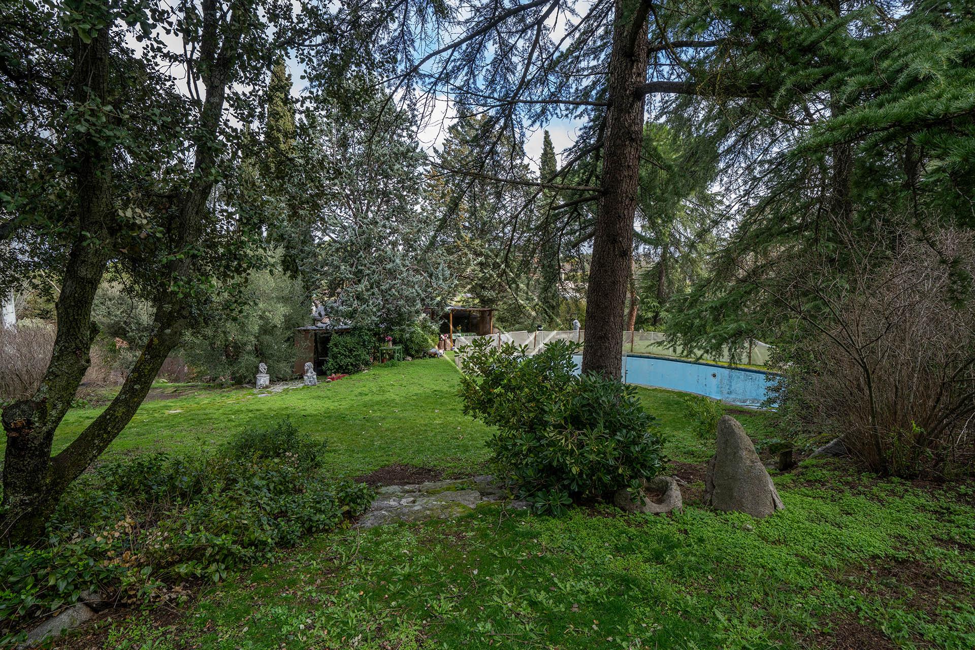 Imagen 6 de la propiedad