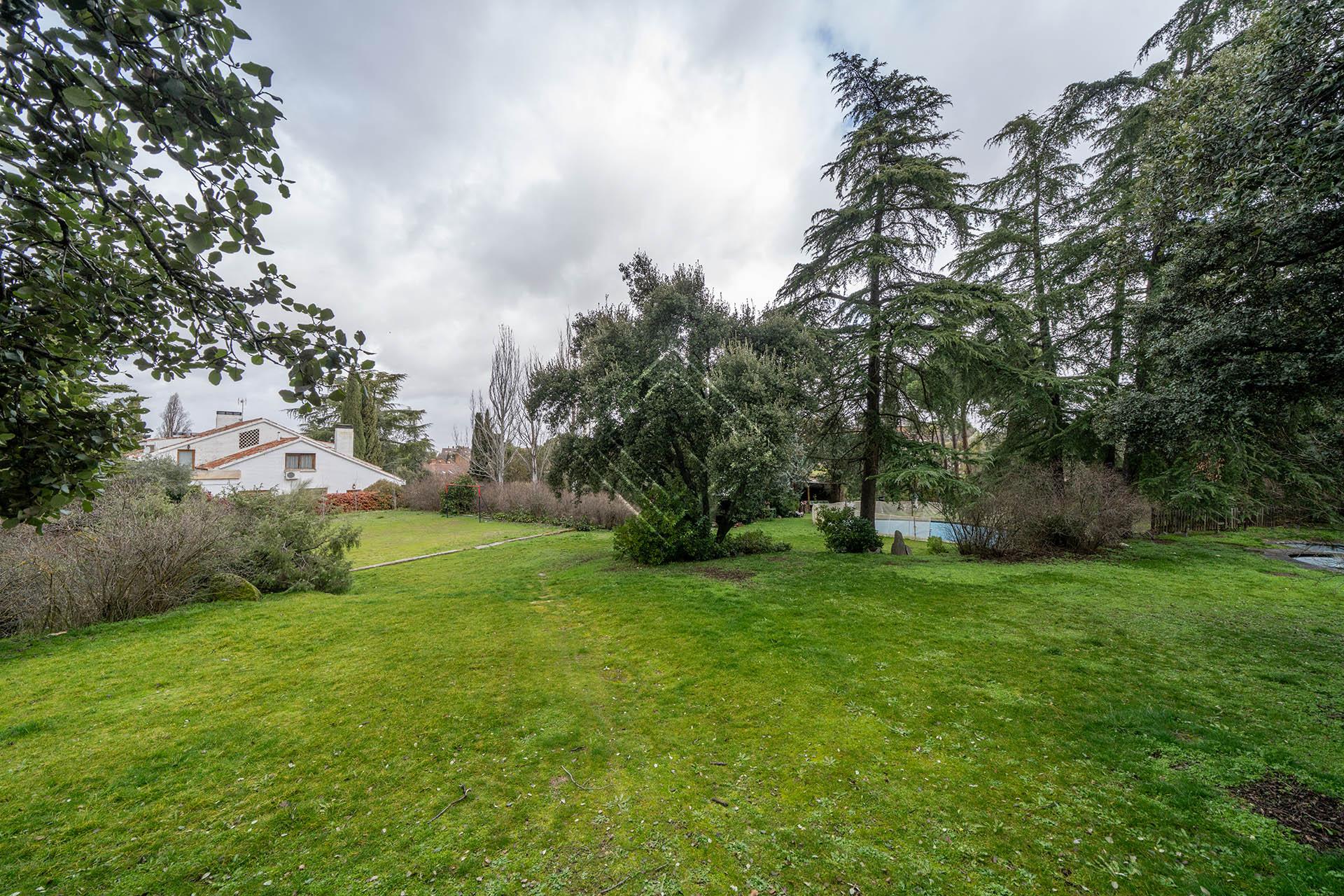 Imagen 21 de la propiedad