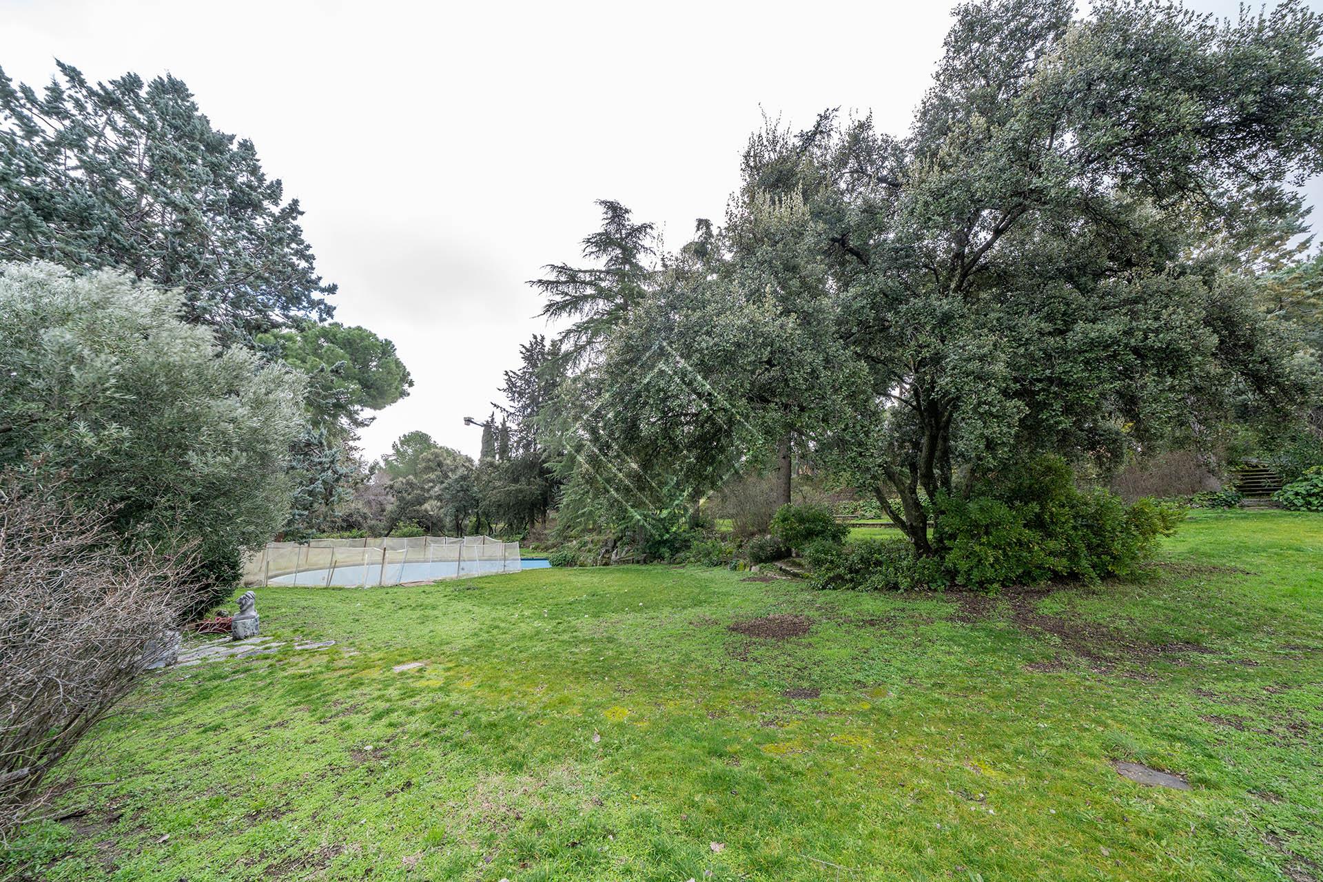 Imagen 24 de la propiedad