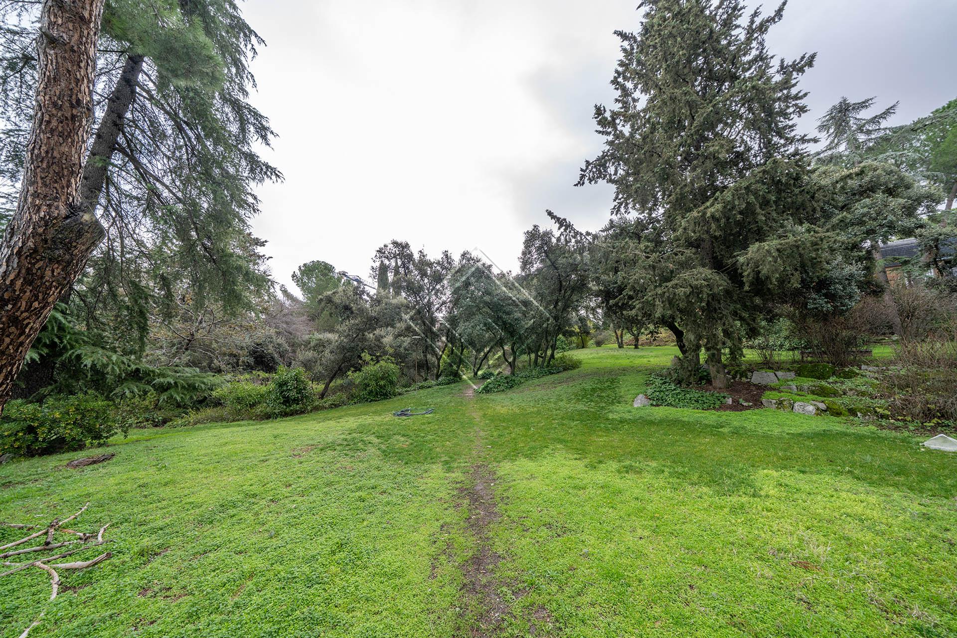 Imagen 27 de la propiedad