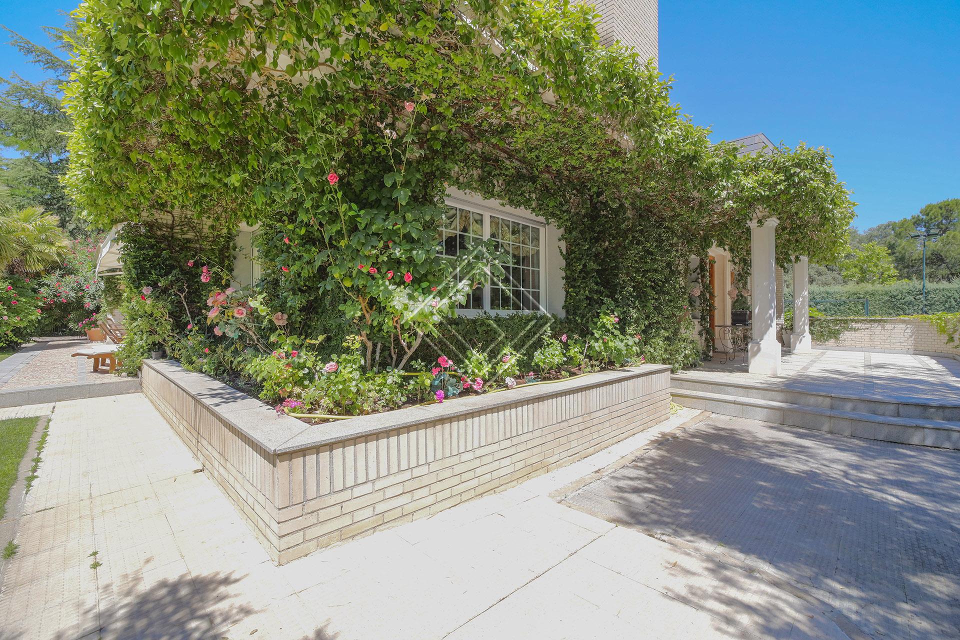 Imagen 5 de la propiedad