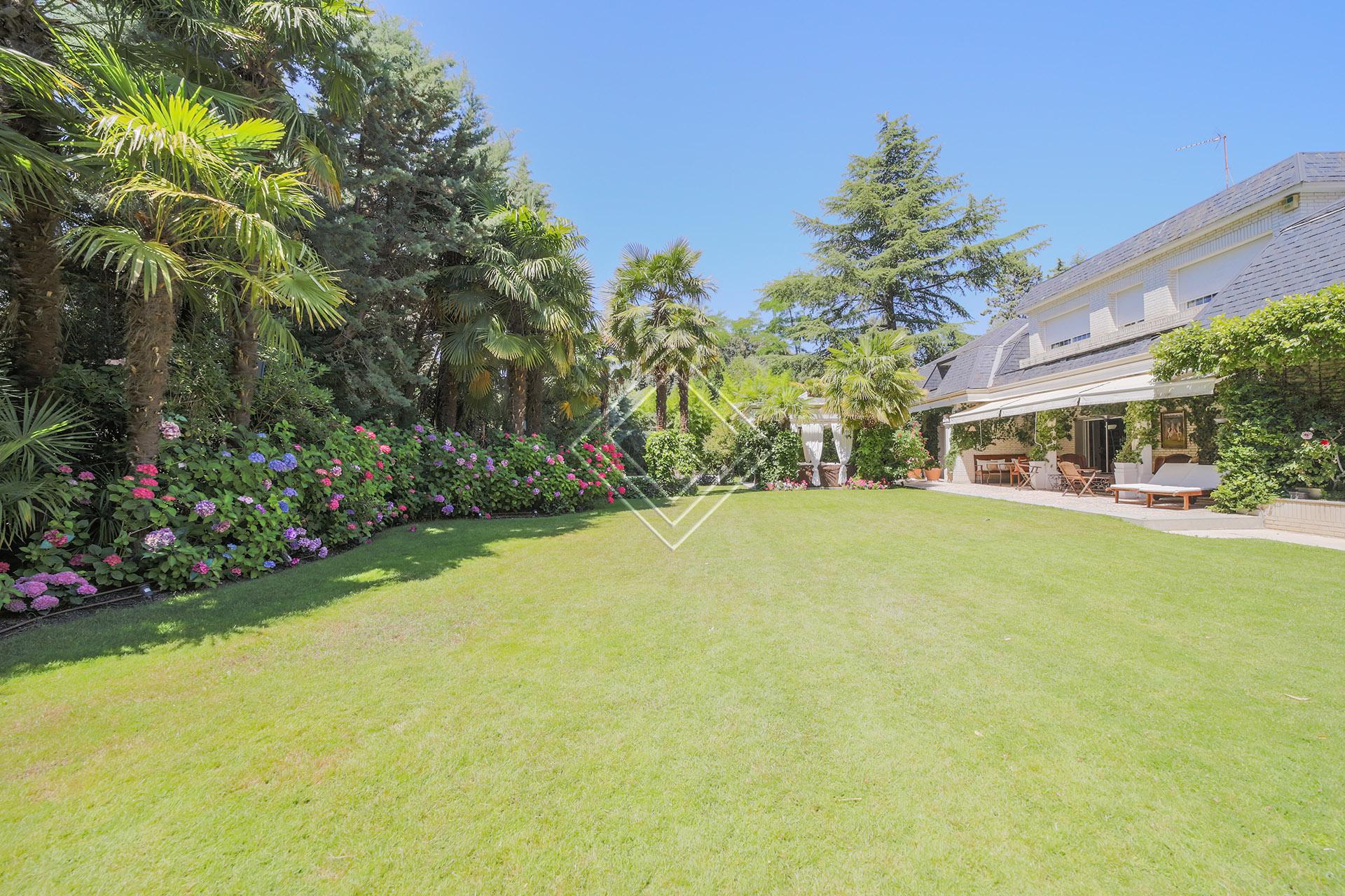 Imagen 7 de la propiedad