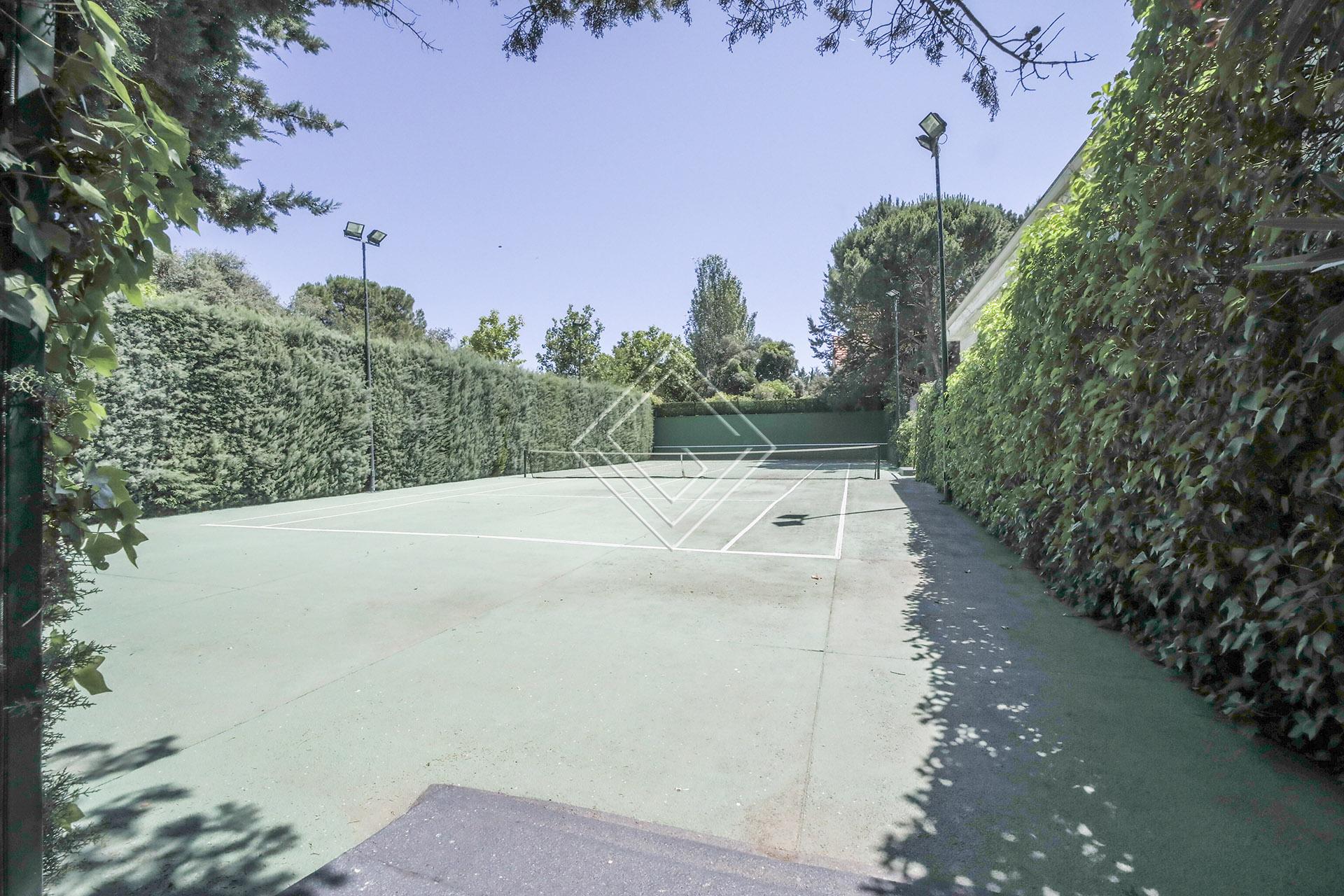 Imagen 19 de la propiedad