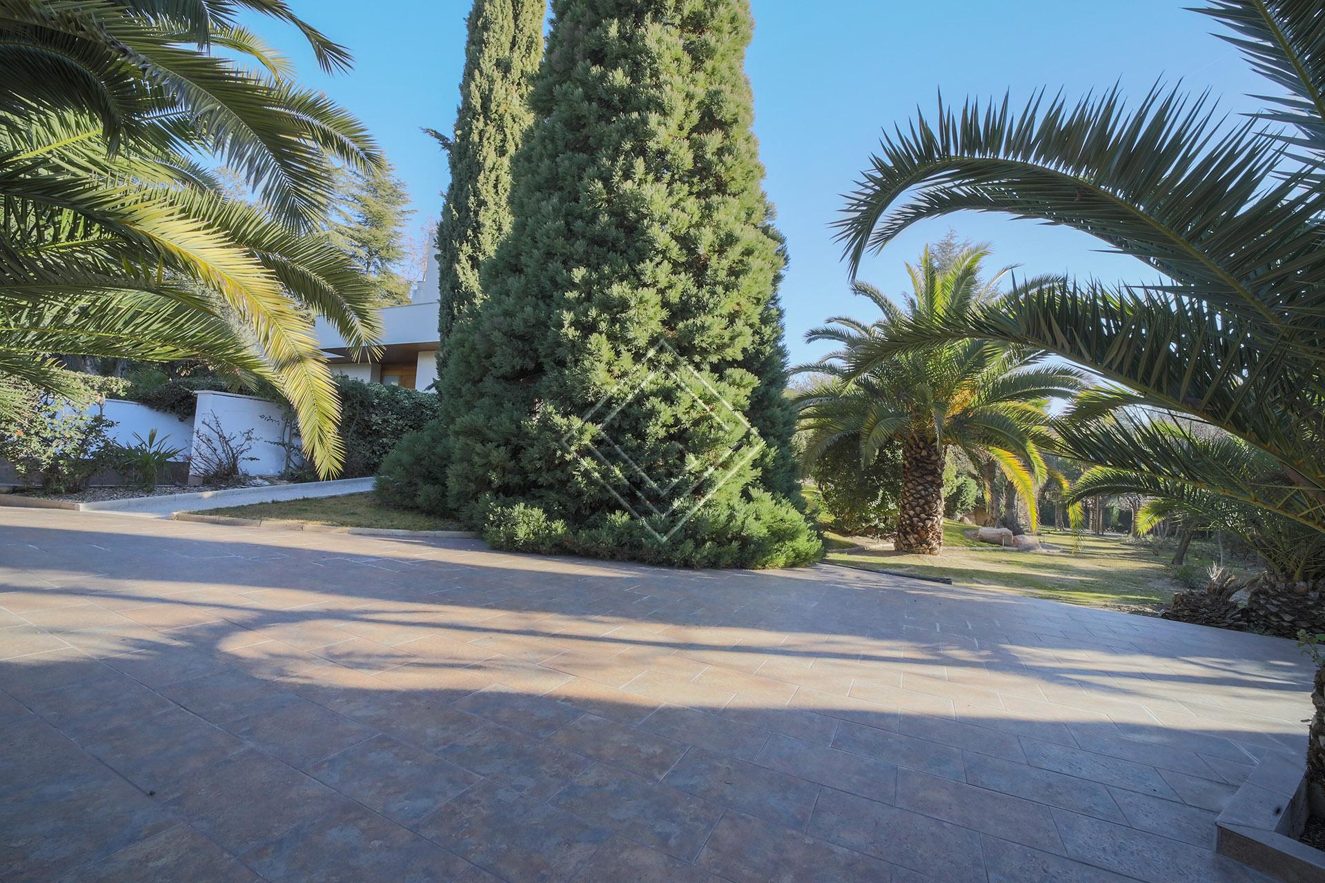 Imagen 39 de la propiedad