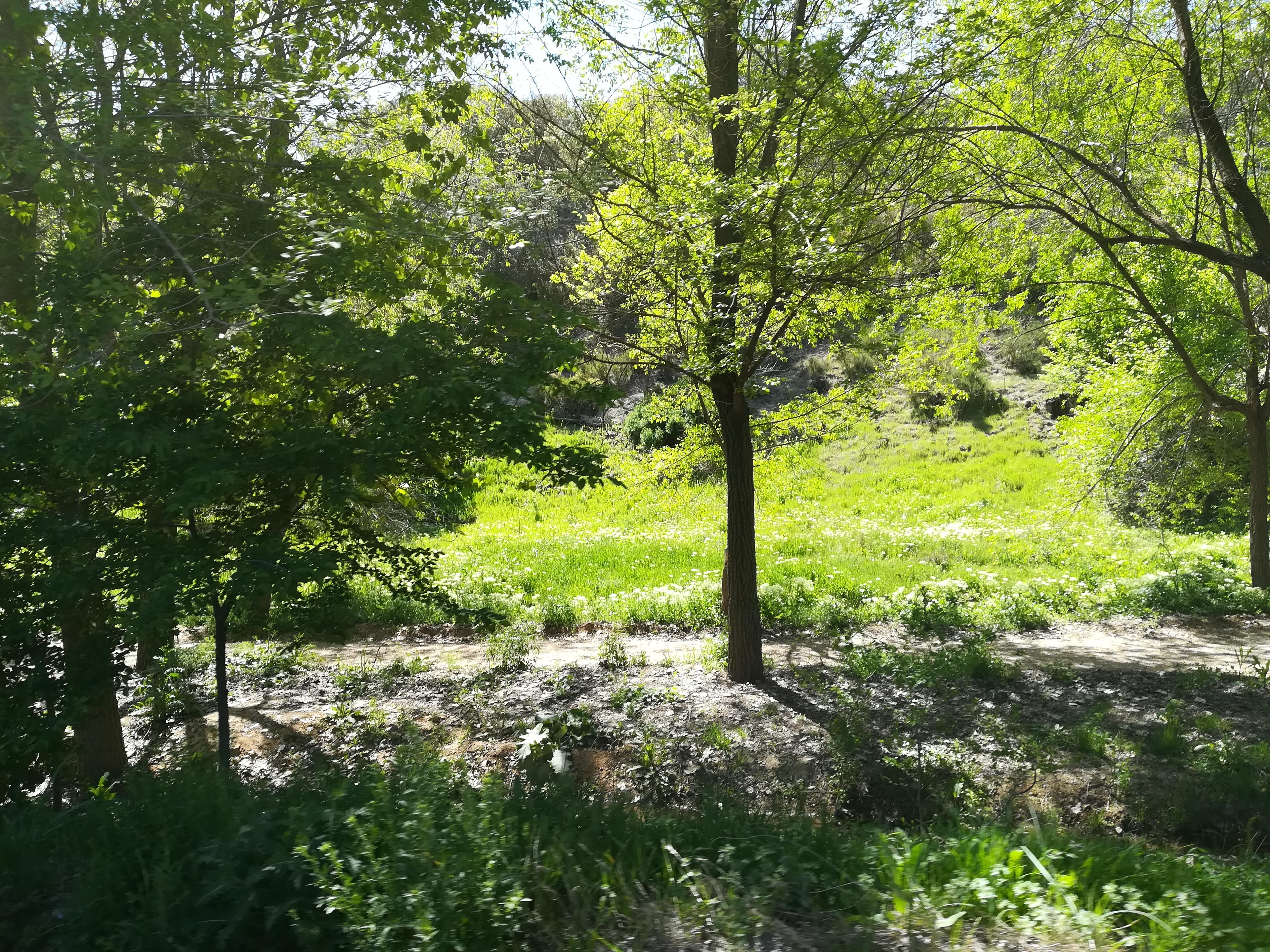 Imagen 5 de la propiedad