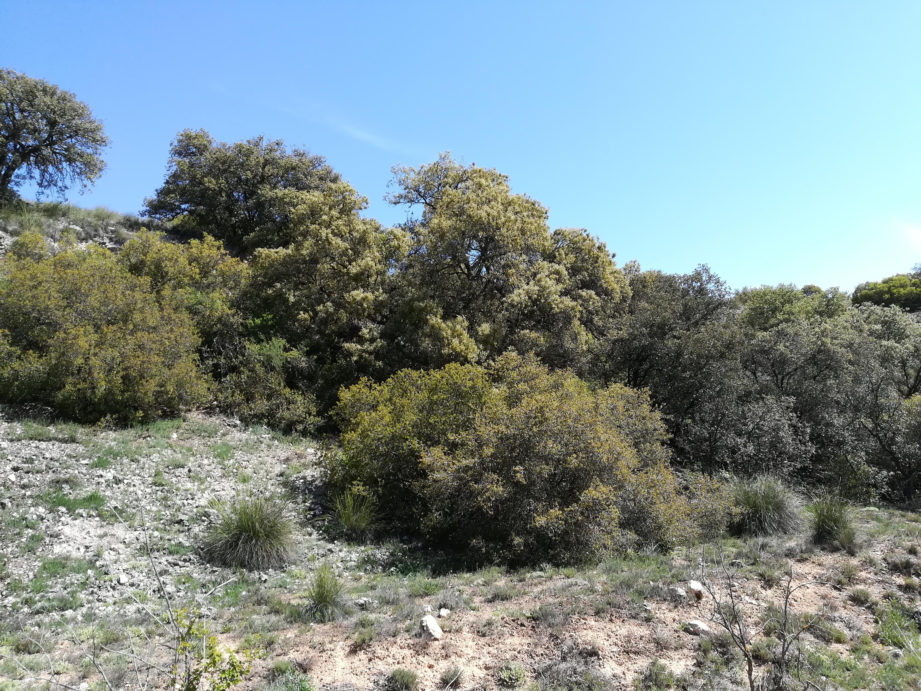 Imagen 3 de la propiedad