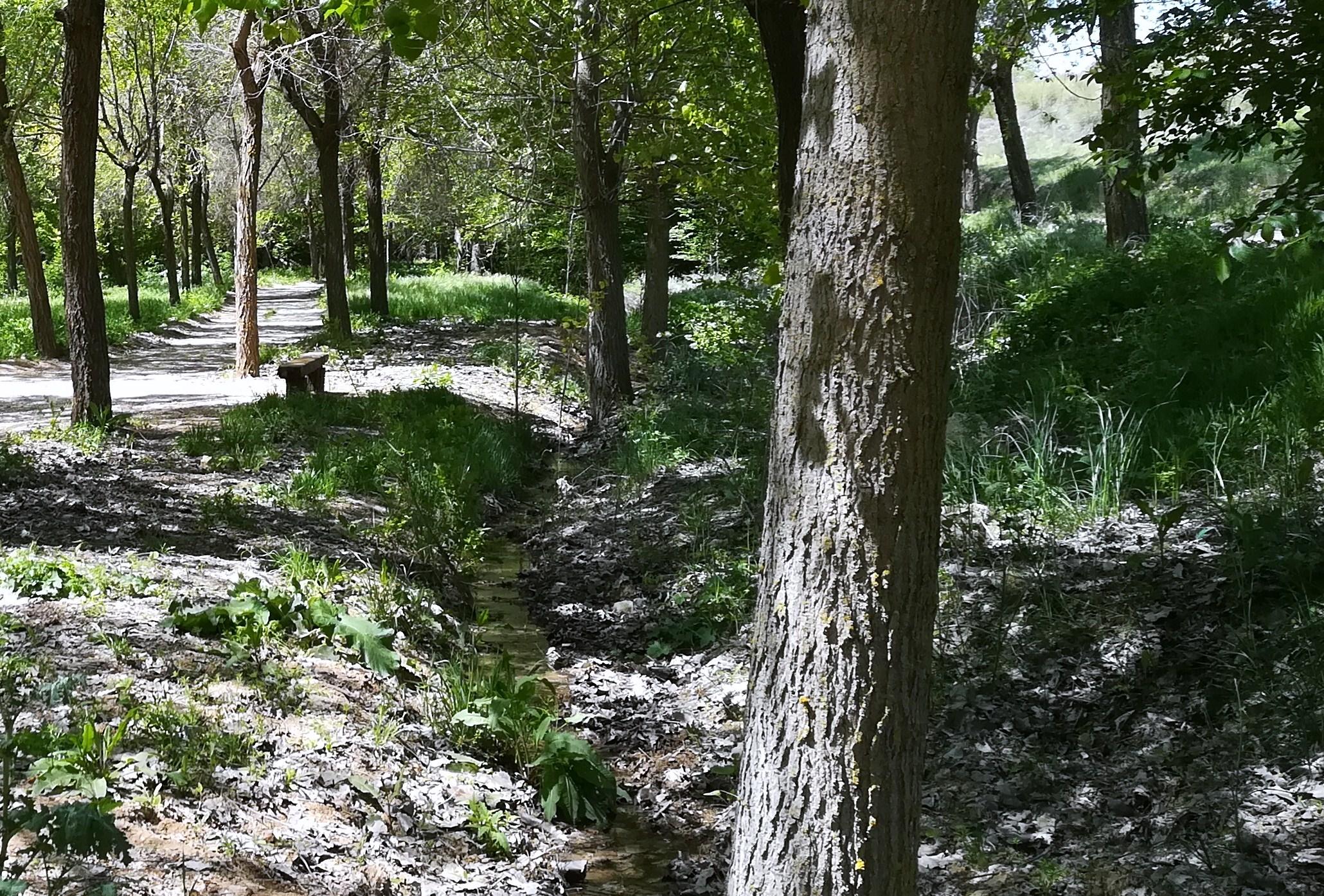 Imagen 7 de la propiedad