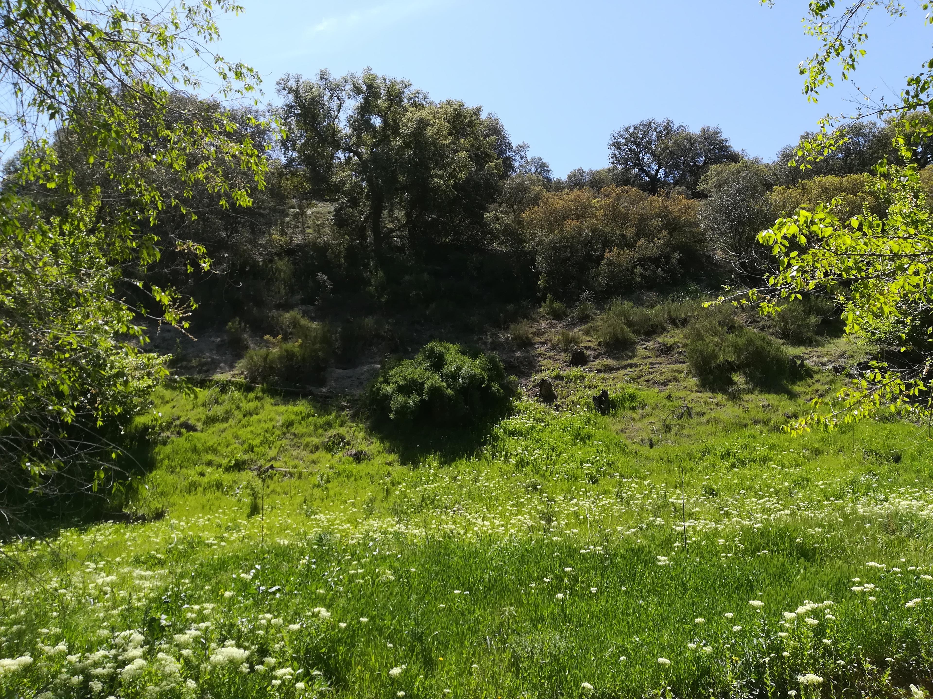 Imagen 8 de la propiedad