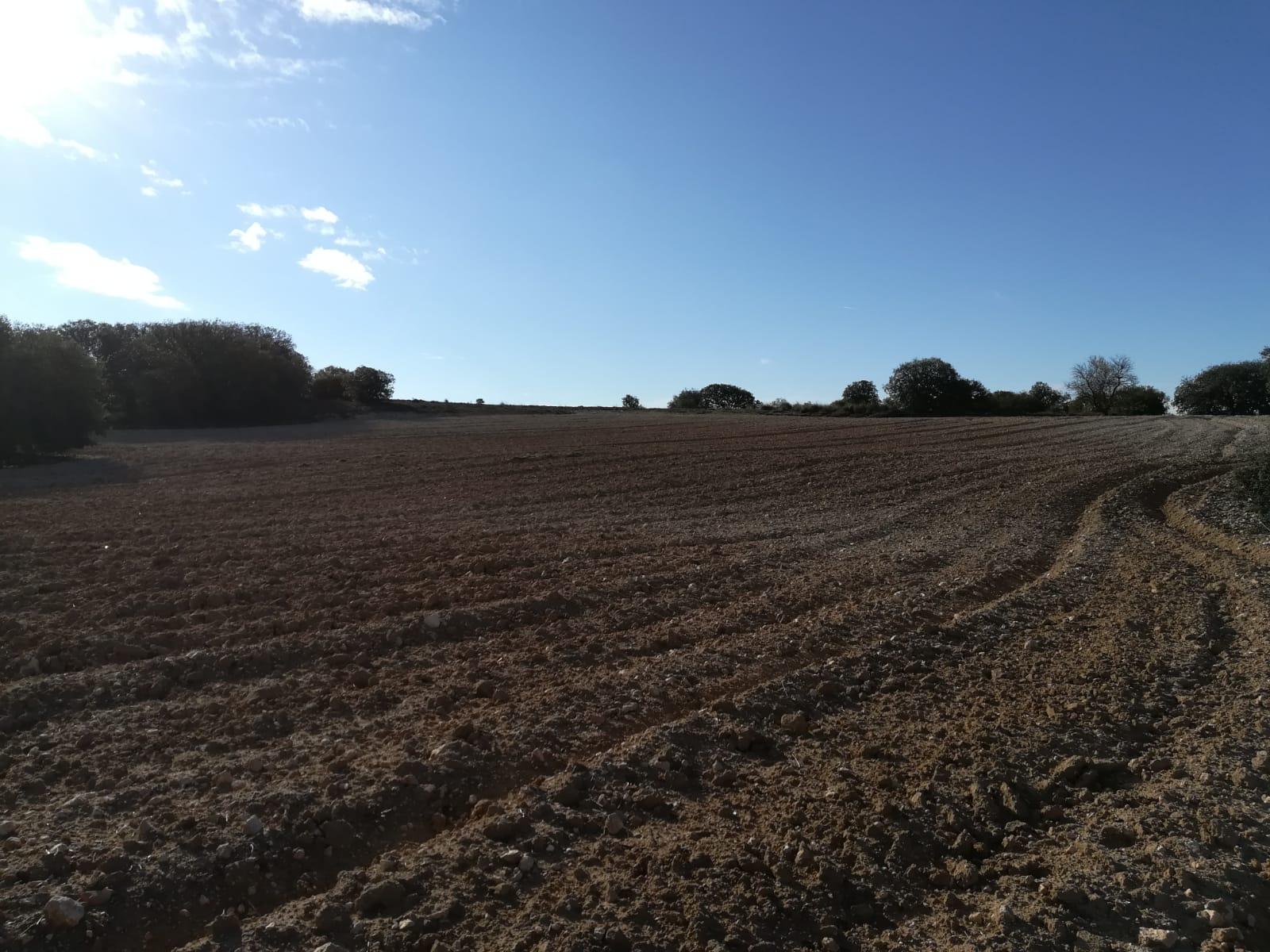 Imagen 21 de la propiedad