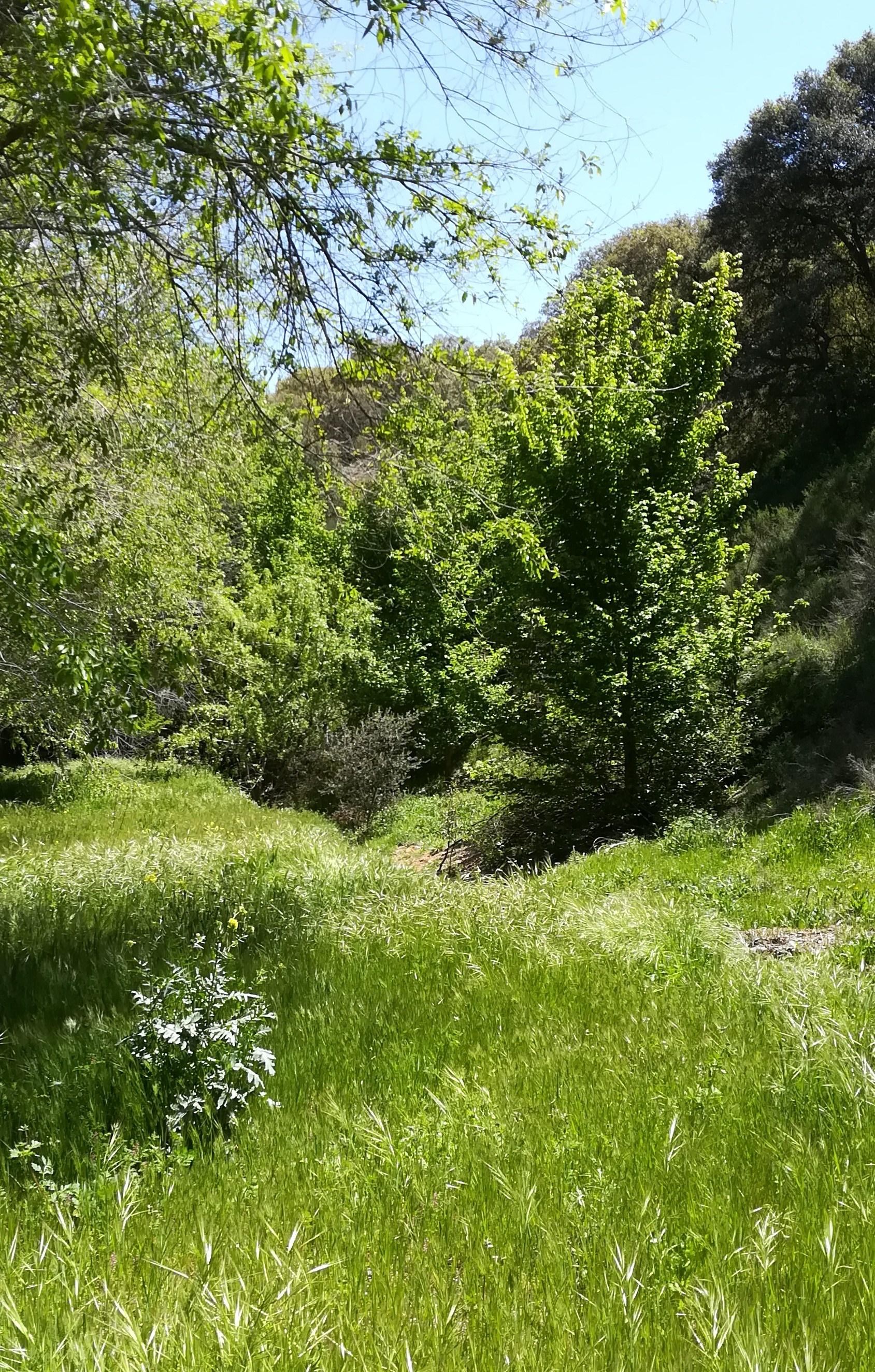 Imagen 10 de la propiedad