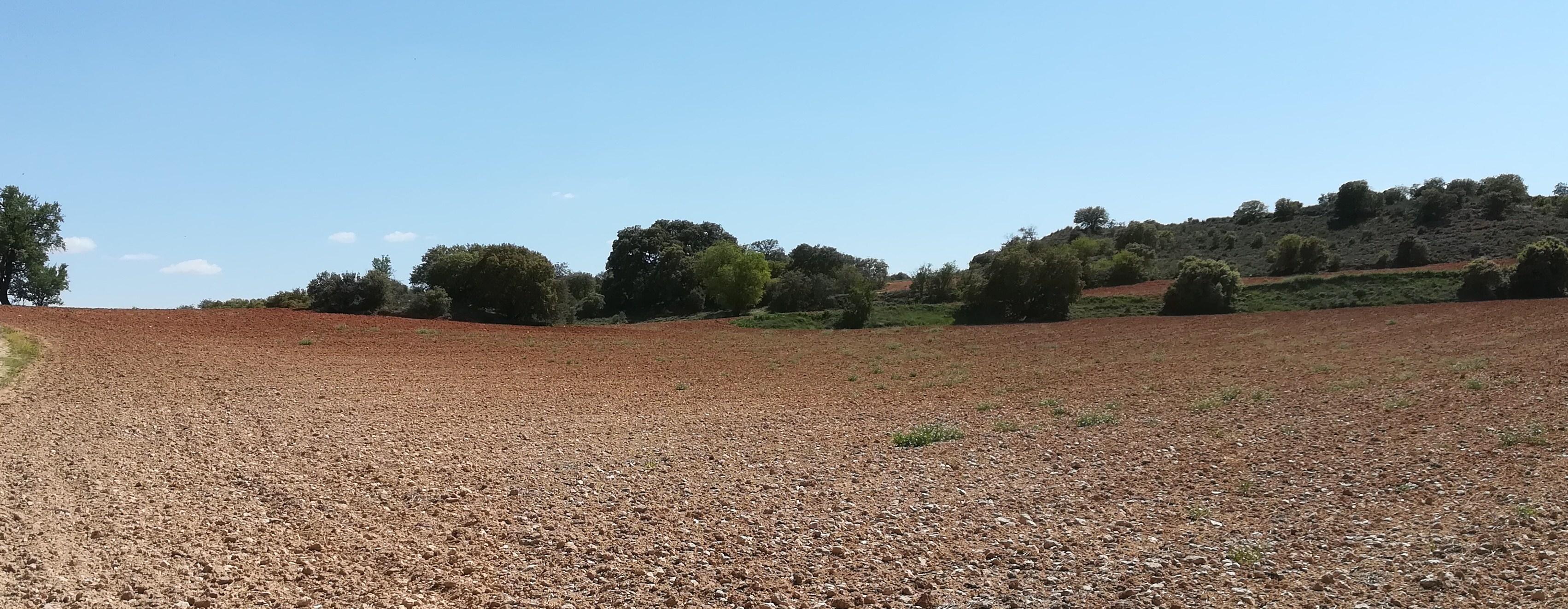 Imagen 18 de la propiedad