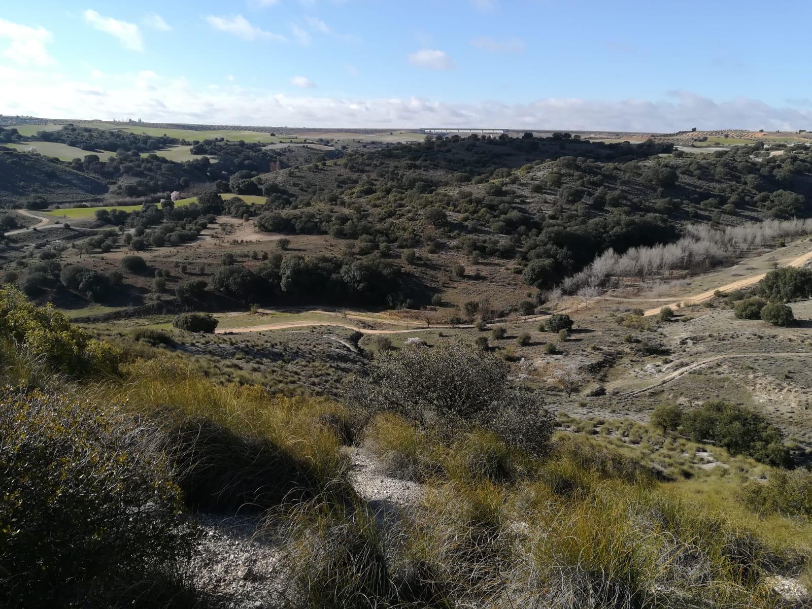 Imagen 24 de la propiedad