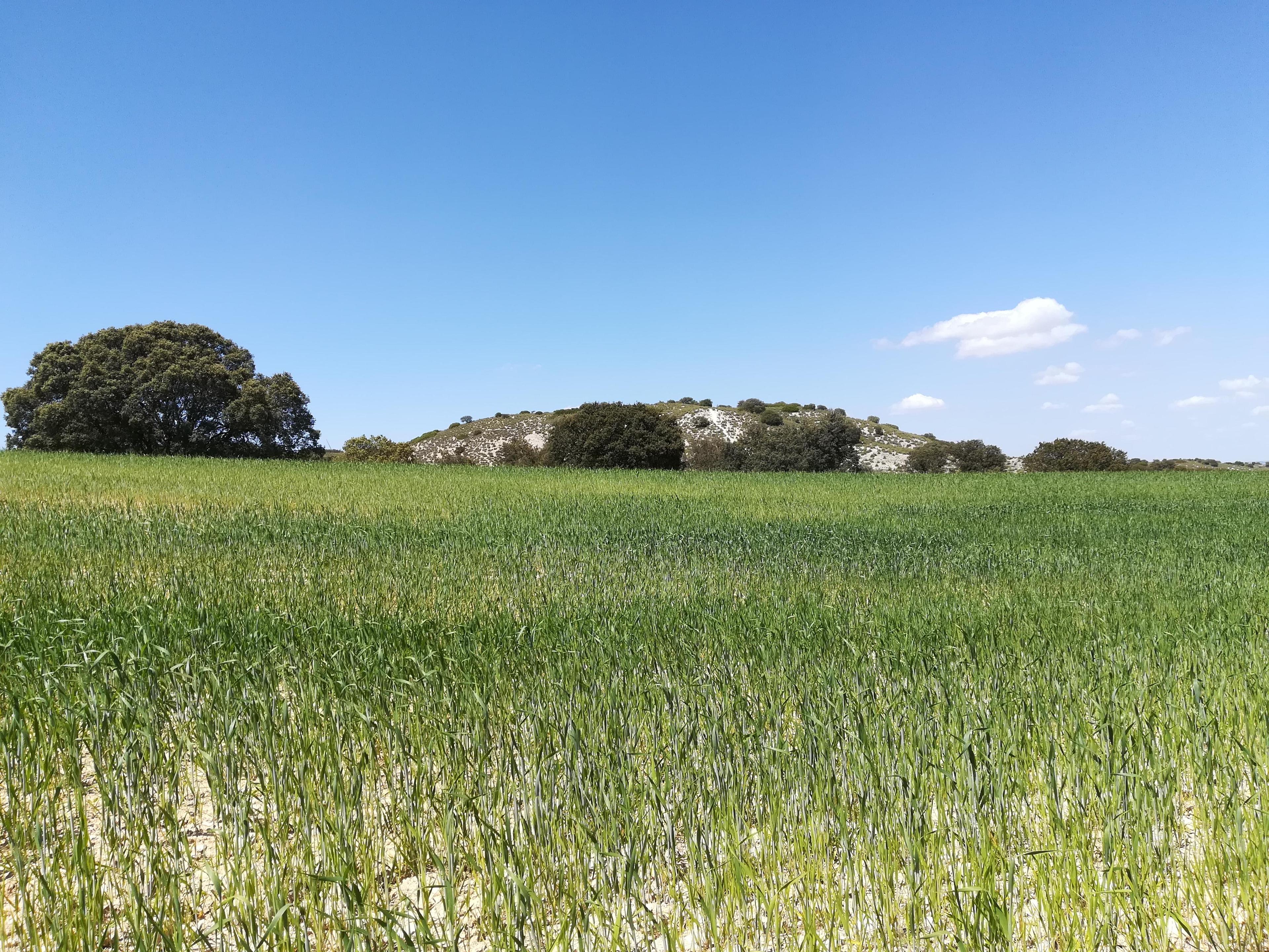 Imagen 16 de la propiedad