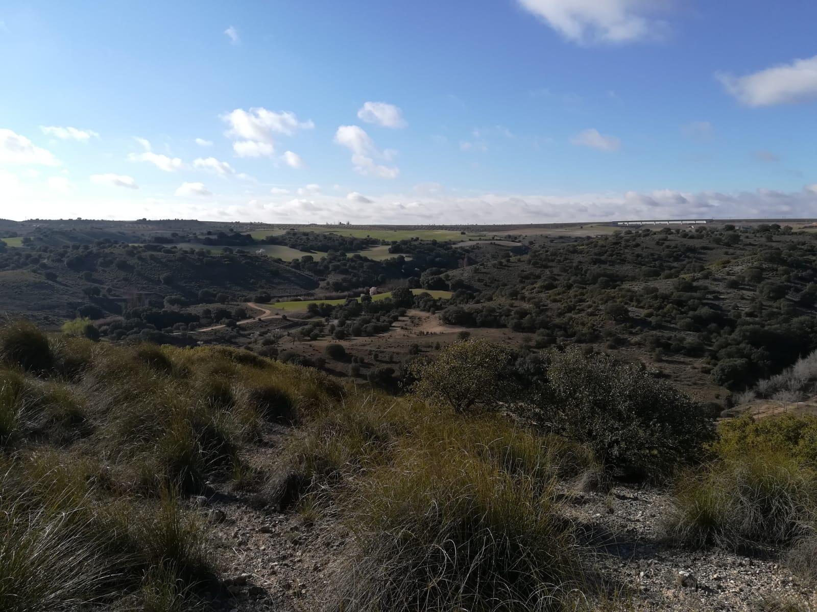 Imagen 23 de la propiedad