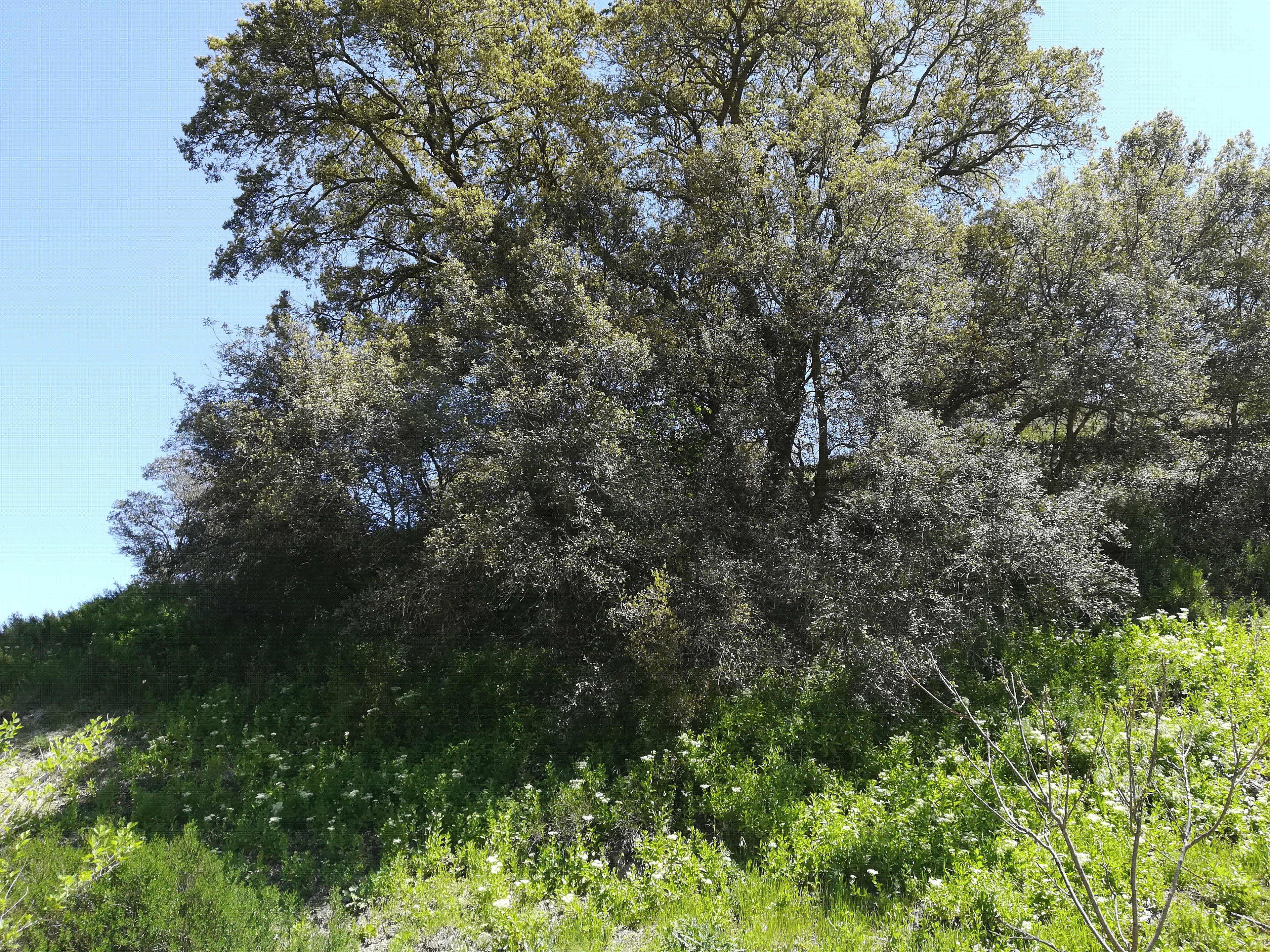 Imagen 11 de la propiedad