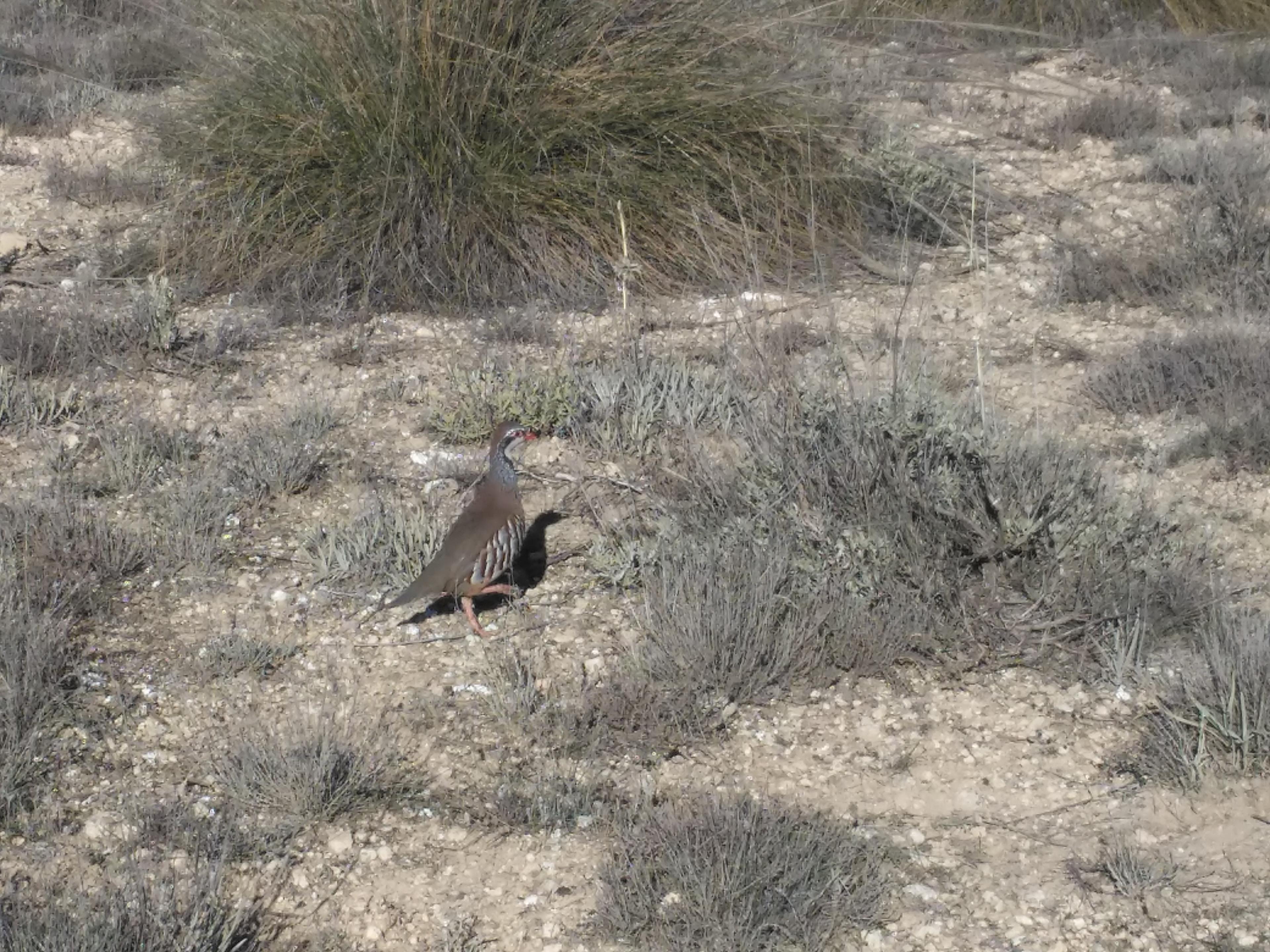 Imagen 19 de la propiedad