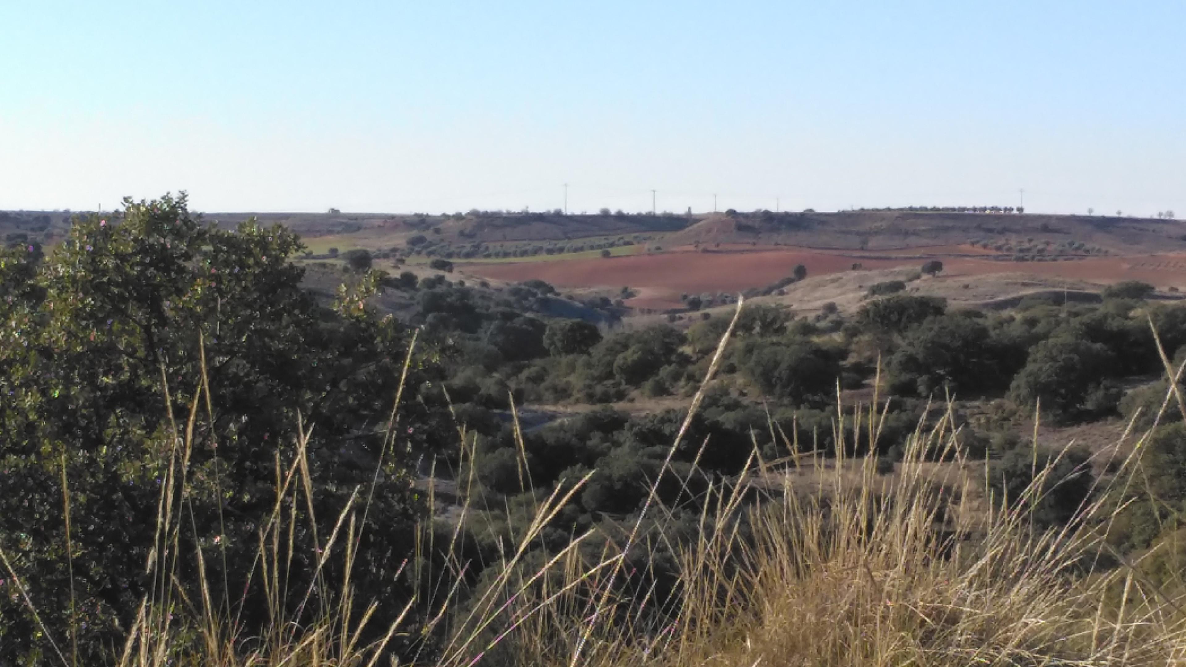 Imagen 20 de la propiedad