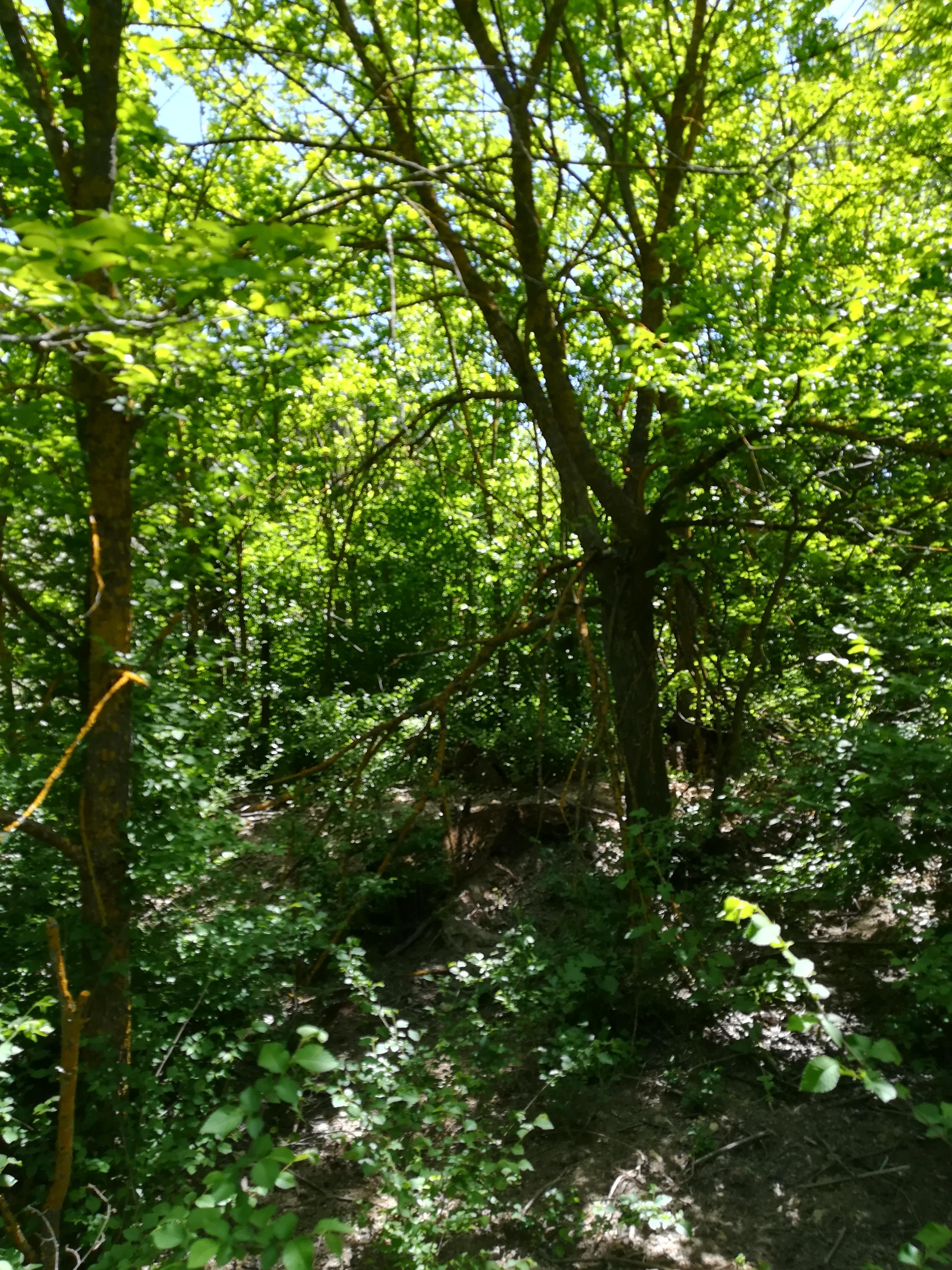 Imagen 17 de la propiedad