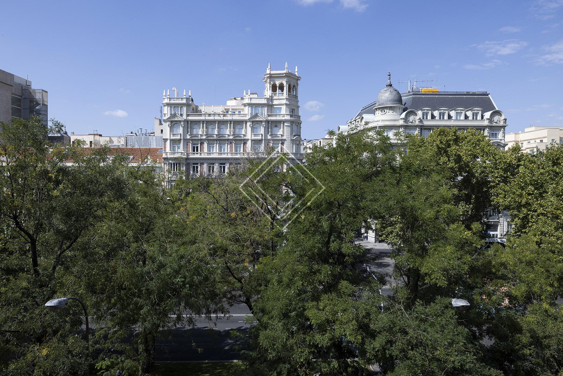 Imagen 12 de la propiedad