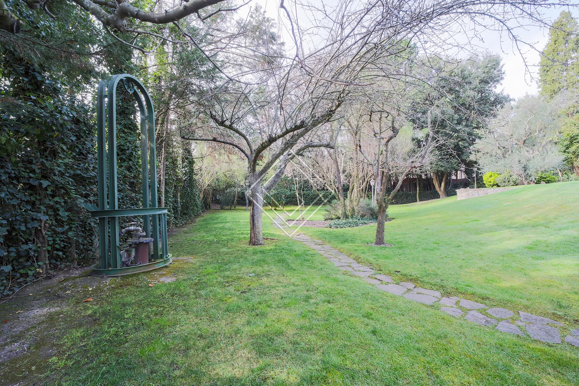 Imagen 24 de la propiedad