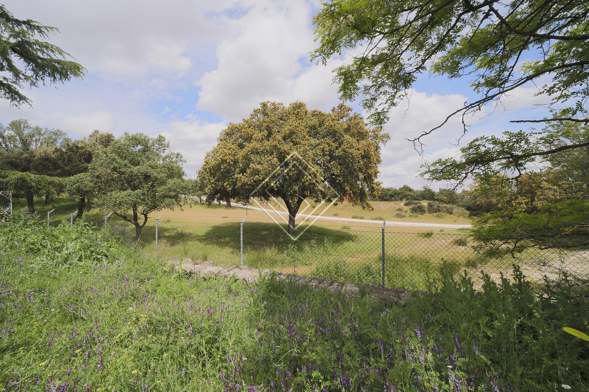 Imagen 1 de la propiedad