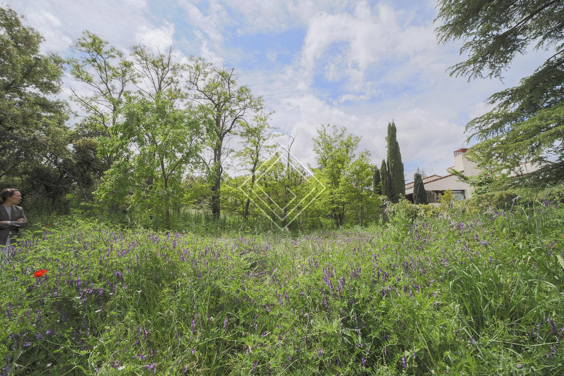 Imagen 5 de la propiedad