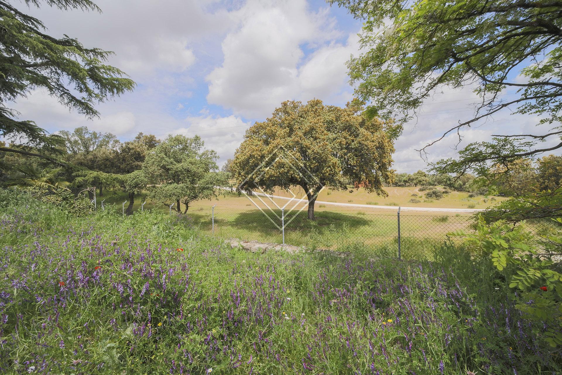 Imagen 3 de la propiedad