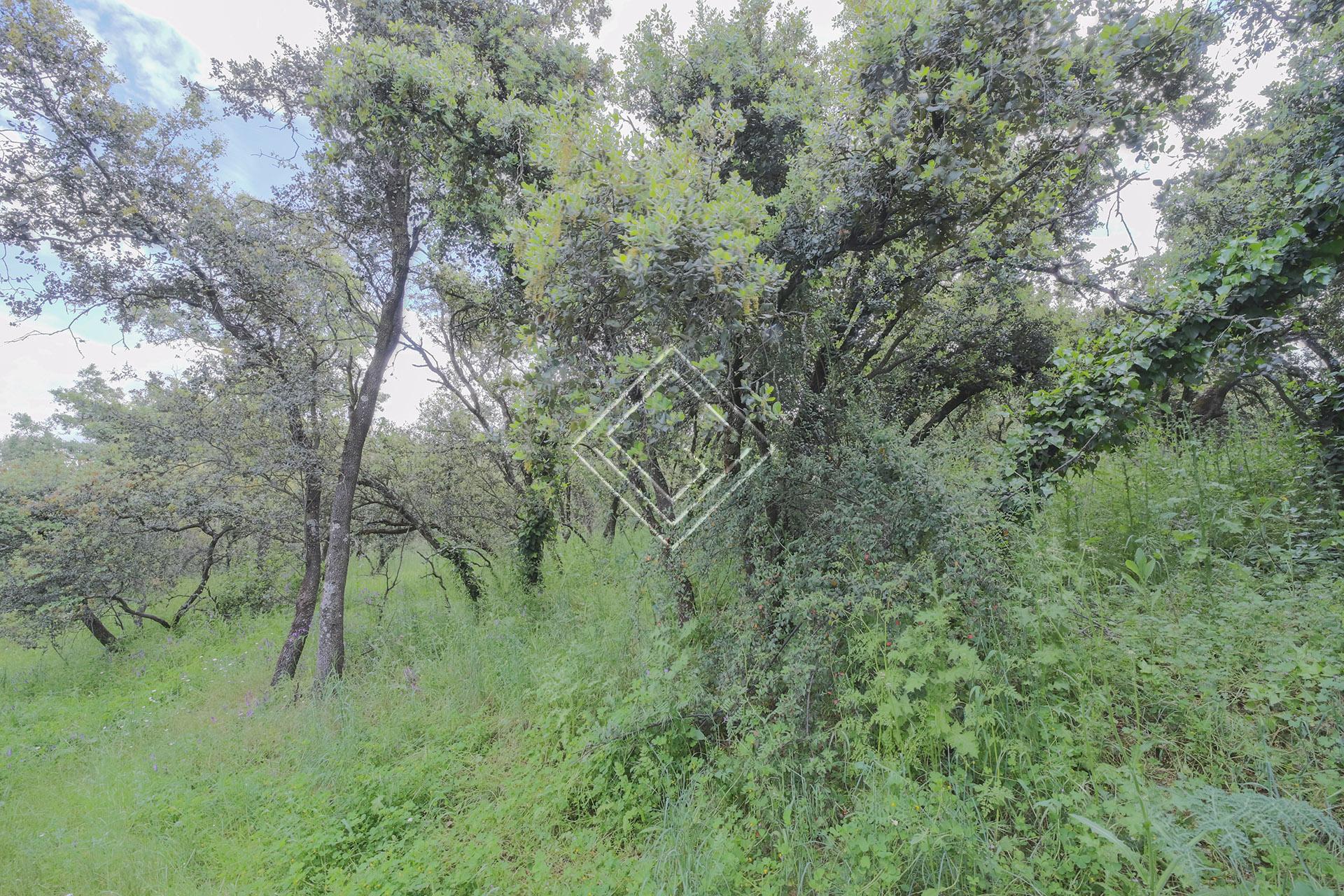 Imagen 4 de la propiedad