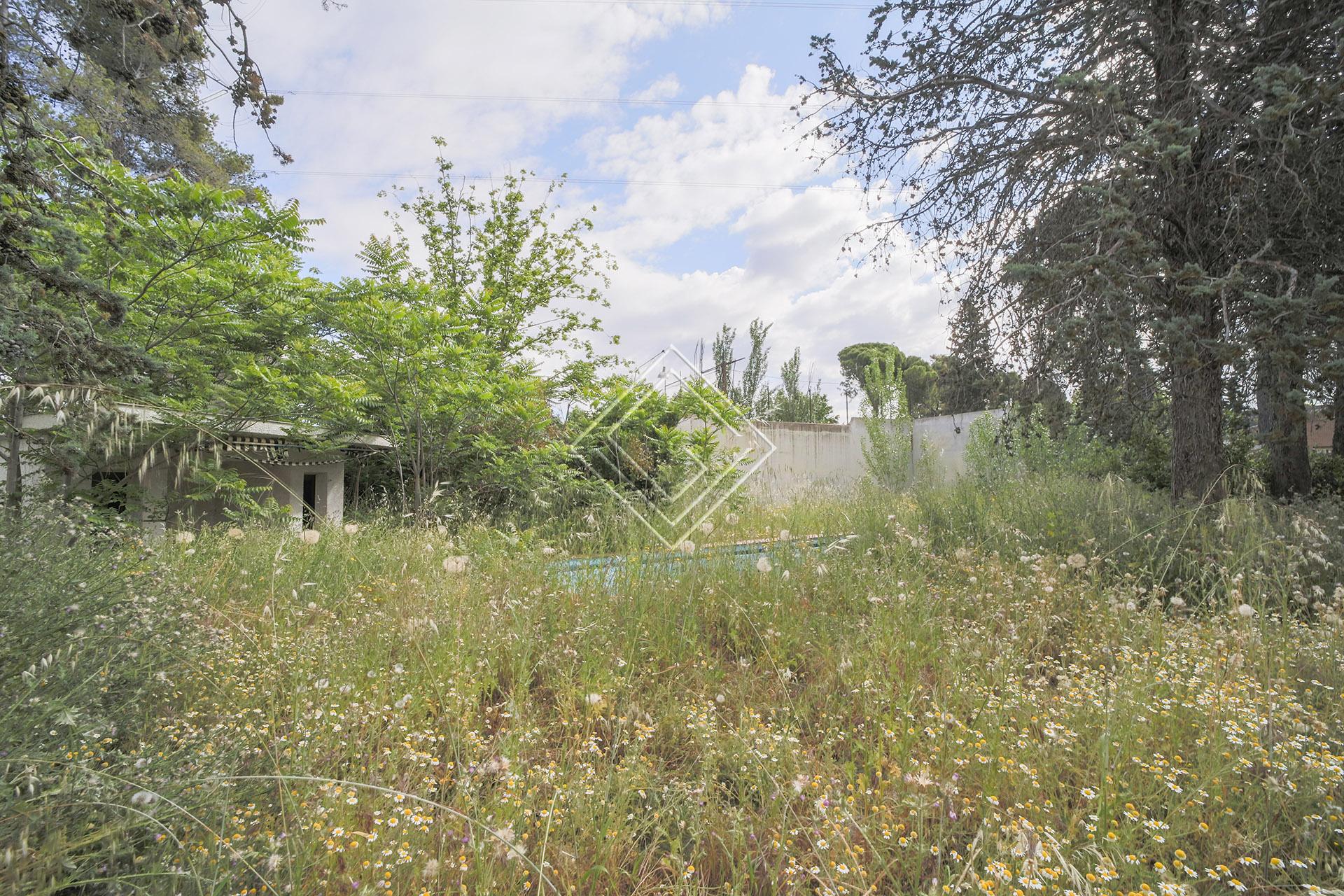 Imagen 10 de la propiedad