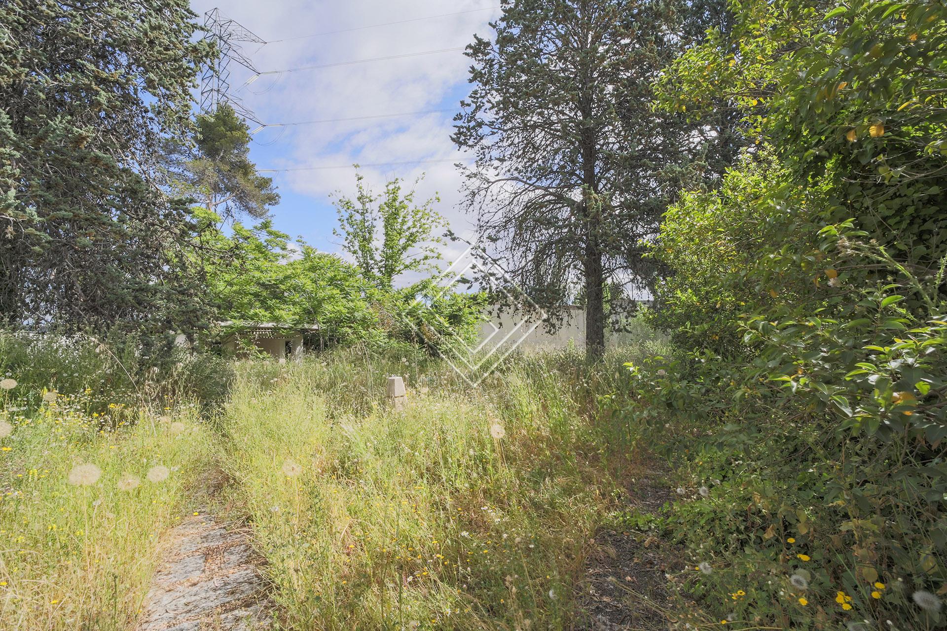 Imagen 8 de la propiedad