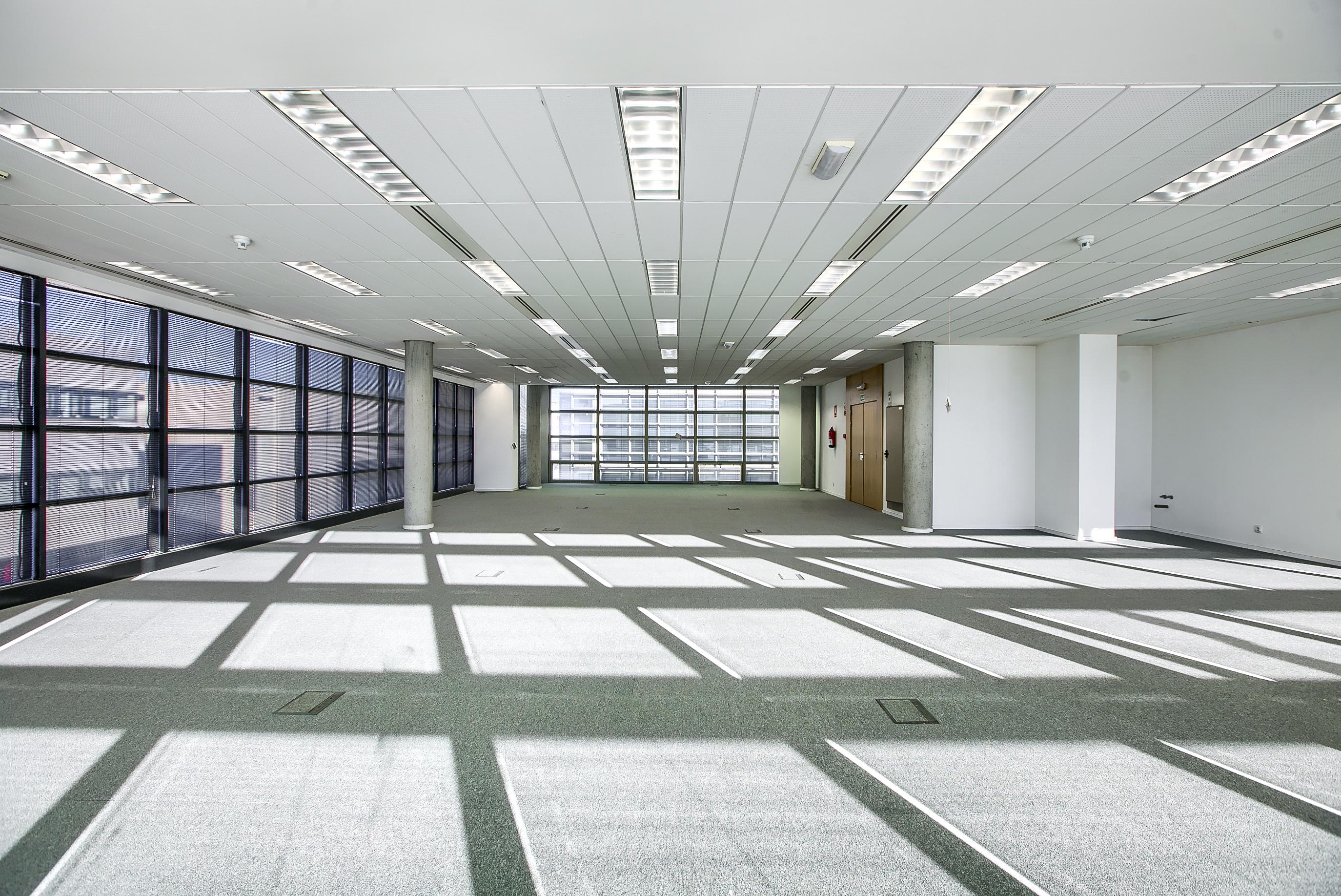 Imagen 7 de la propiedad