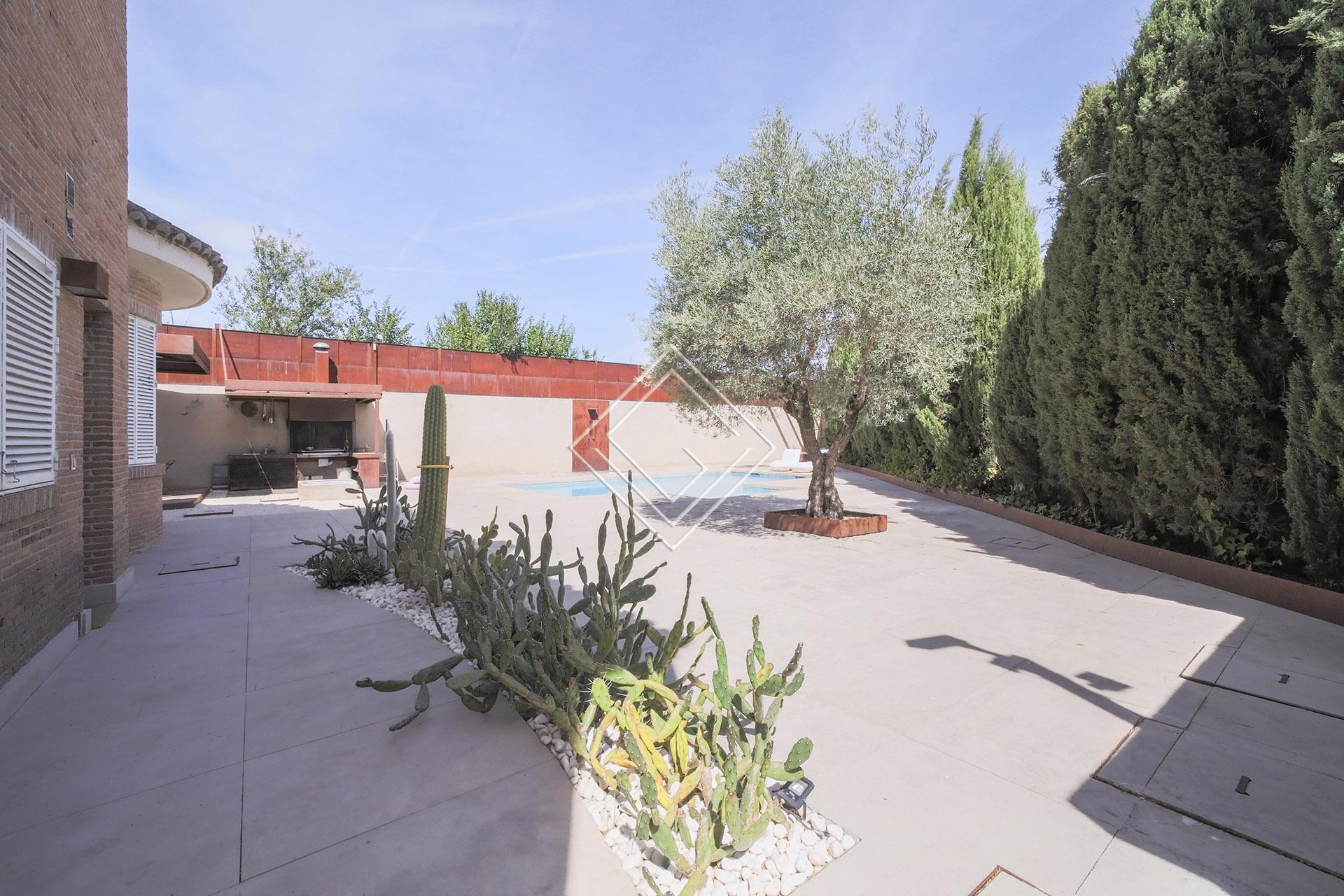 Imagen 12 de la propiedad