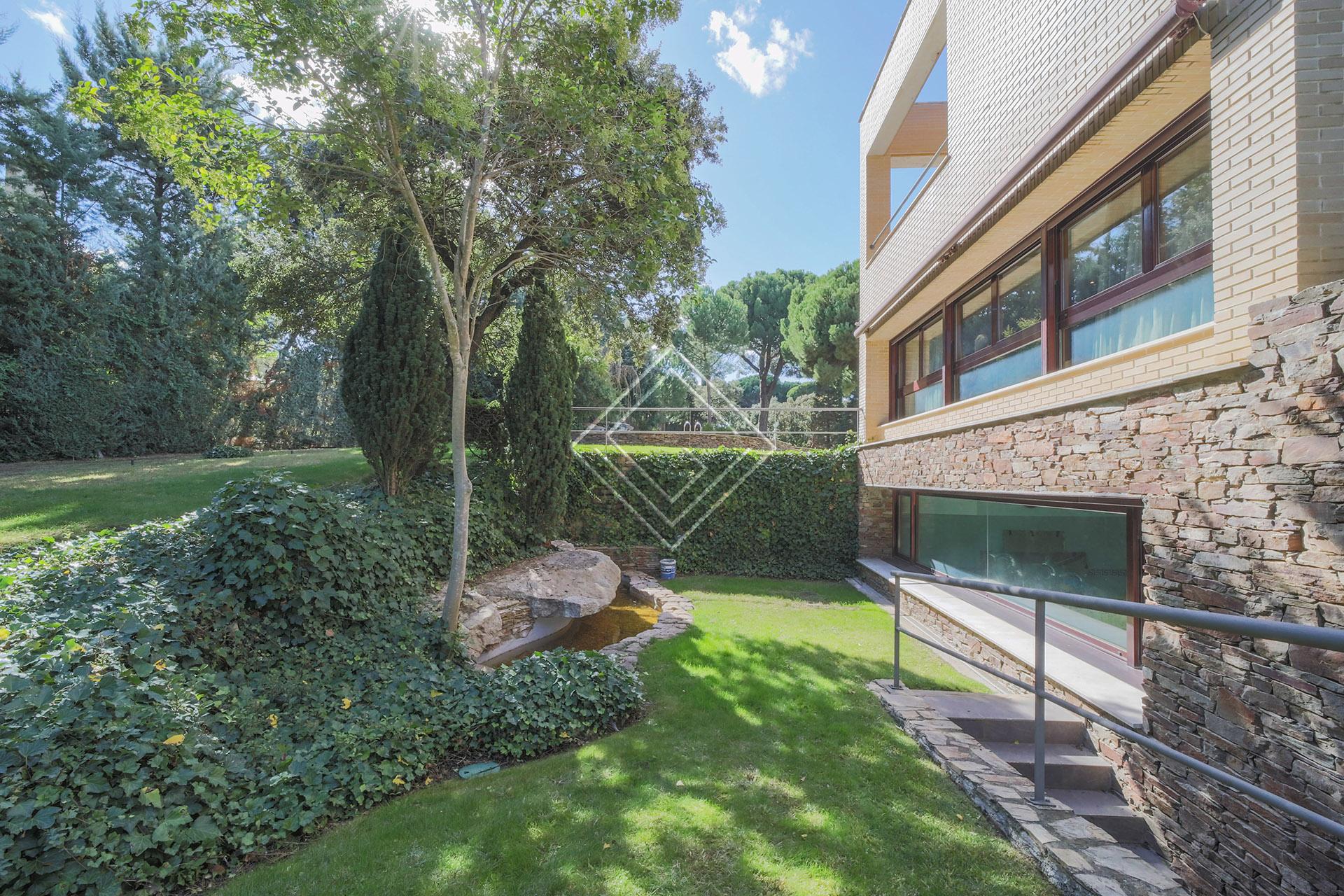 Imagen 36 de la propiedad