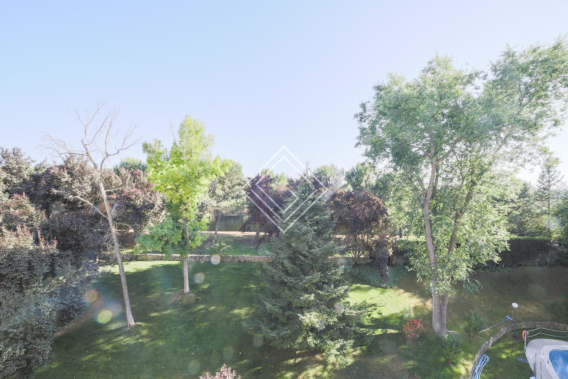 Imagen 11 de la propiedad