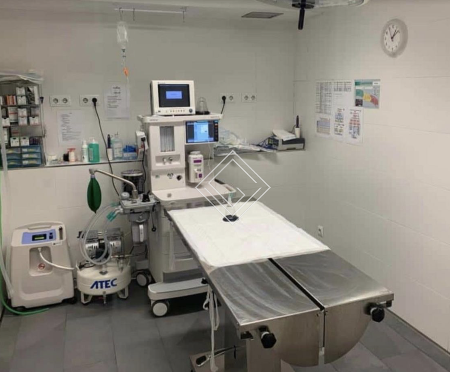 Imagen 5 de la propiedad