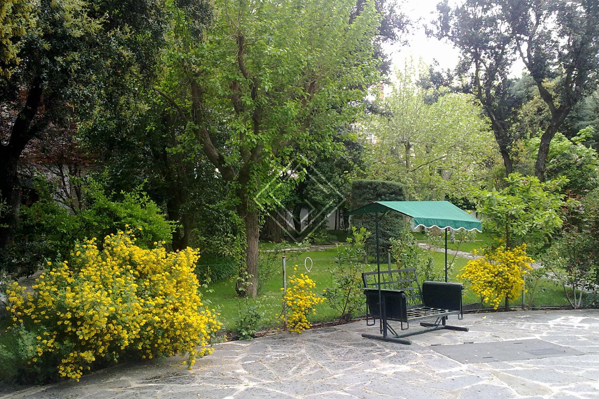 Imagen 16 de la propiedad