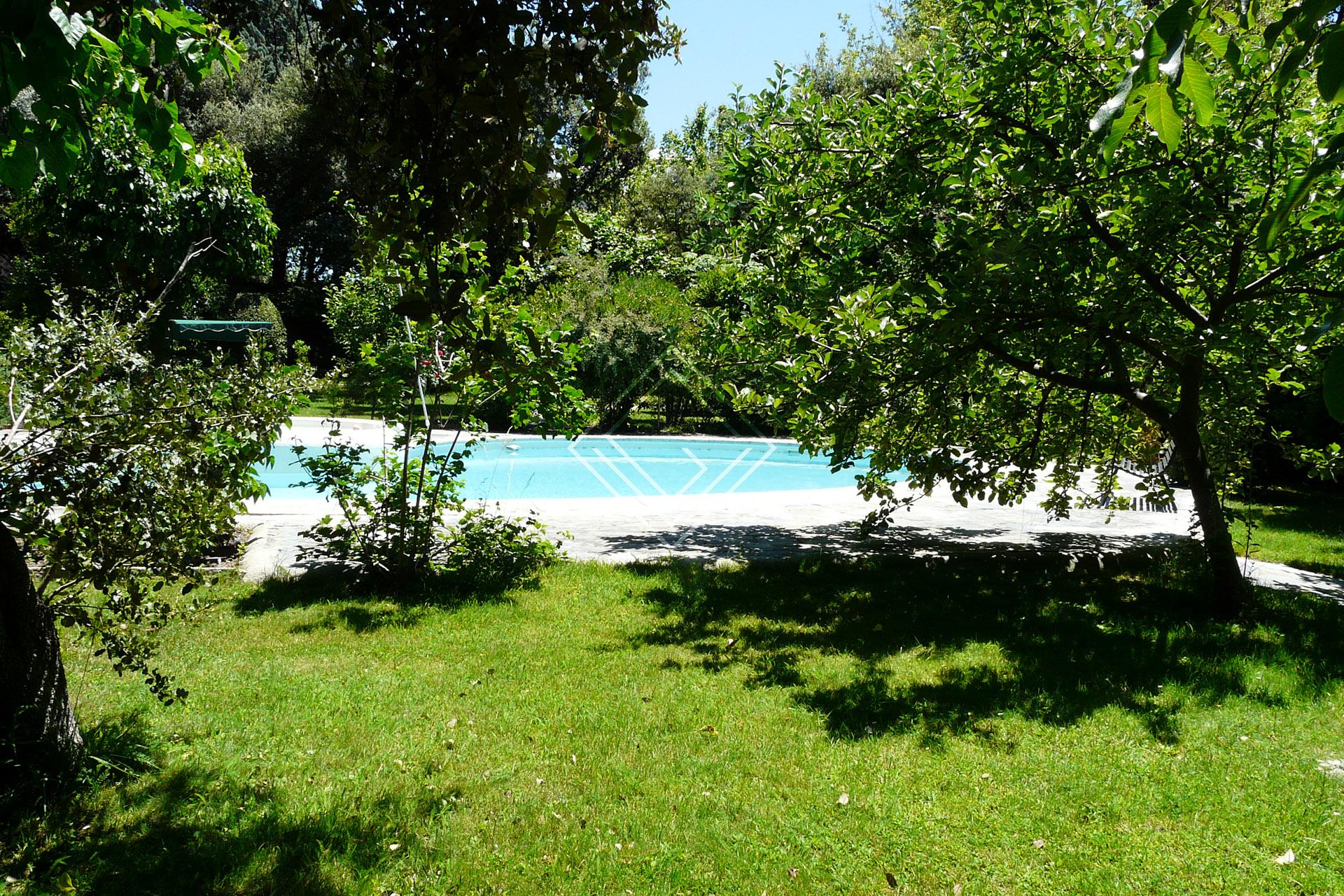 Imagen 20 de la propiedad