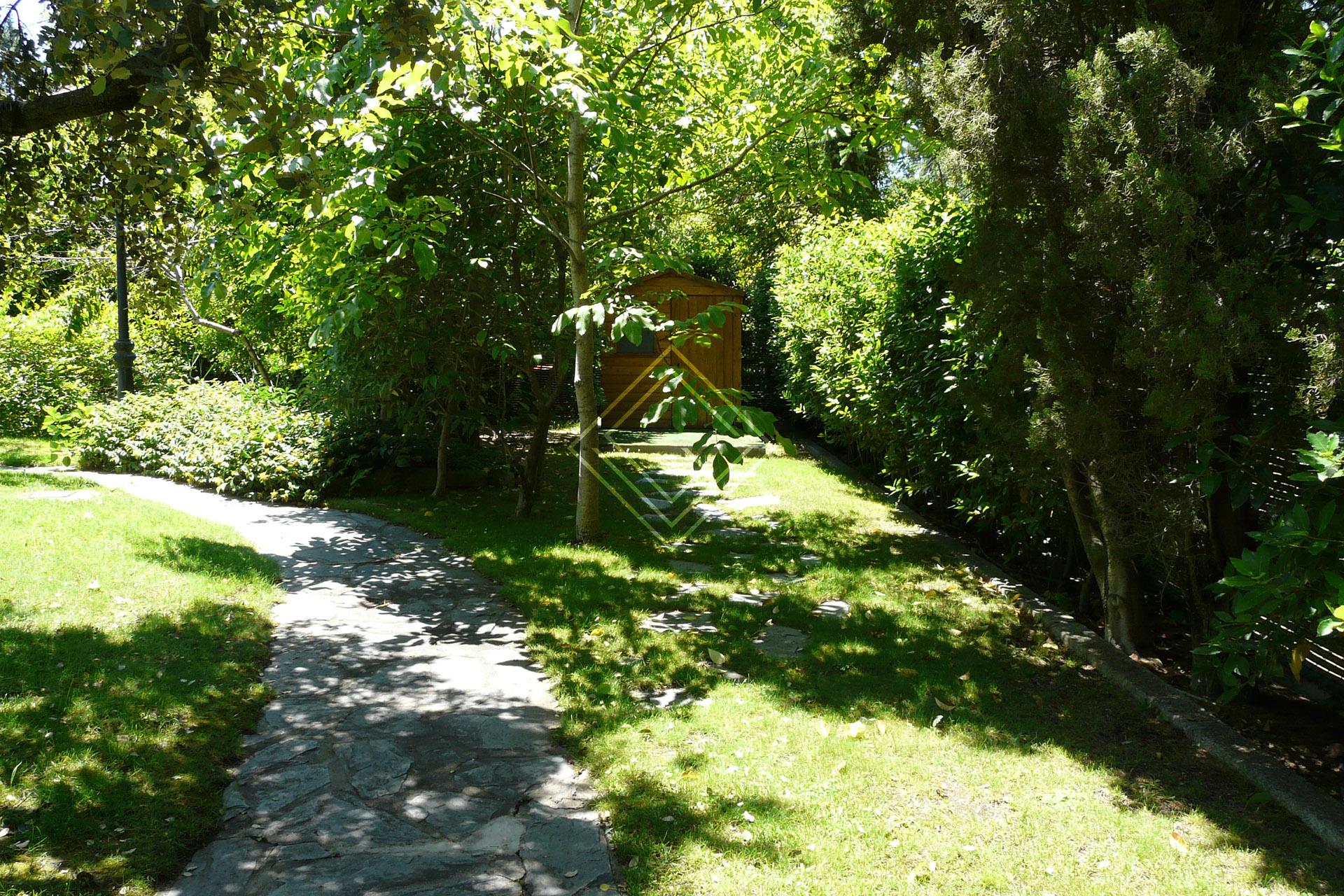 Imagen 25 de la propiedad