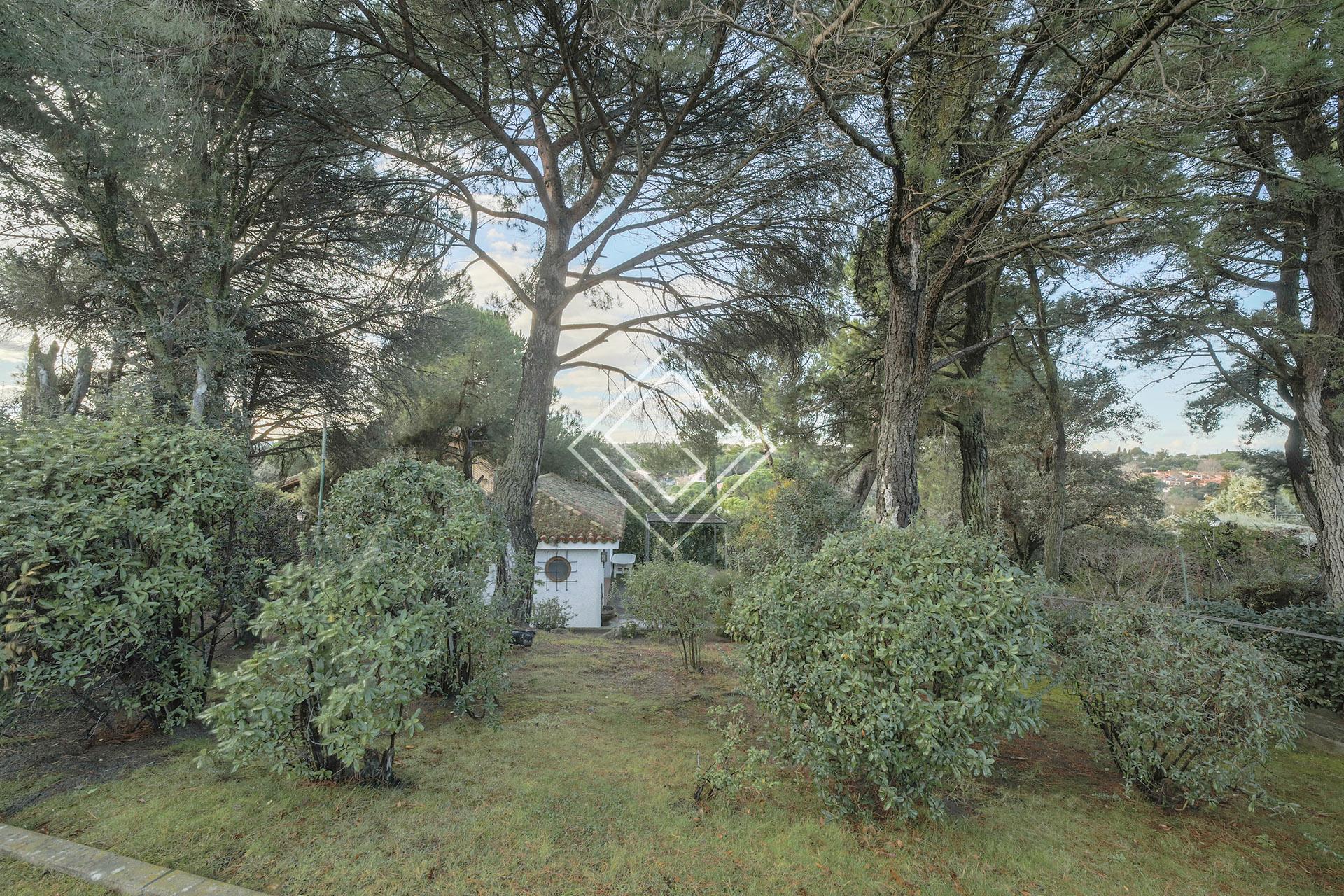 Imagen 9 de la propiedad