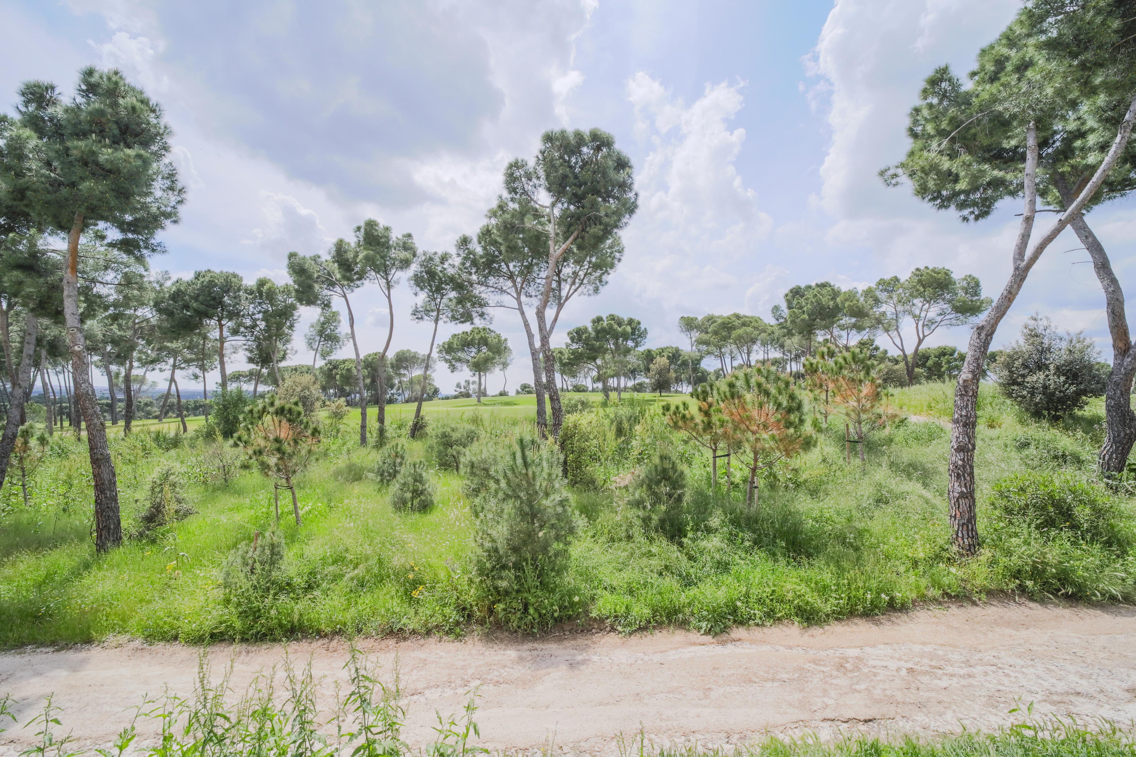 Fabulosa casa en alquiler en la Colonia Puerta de Hierro