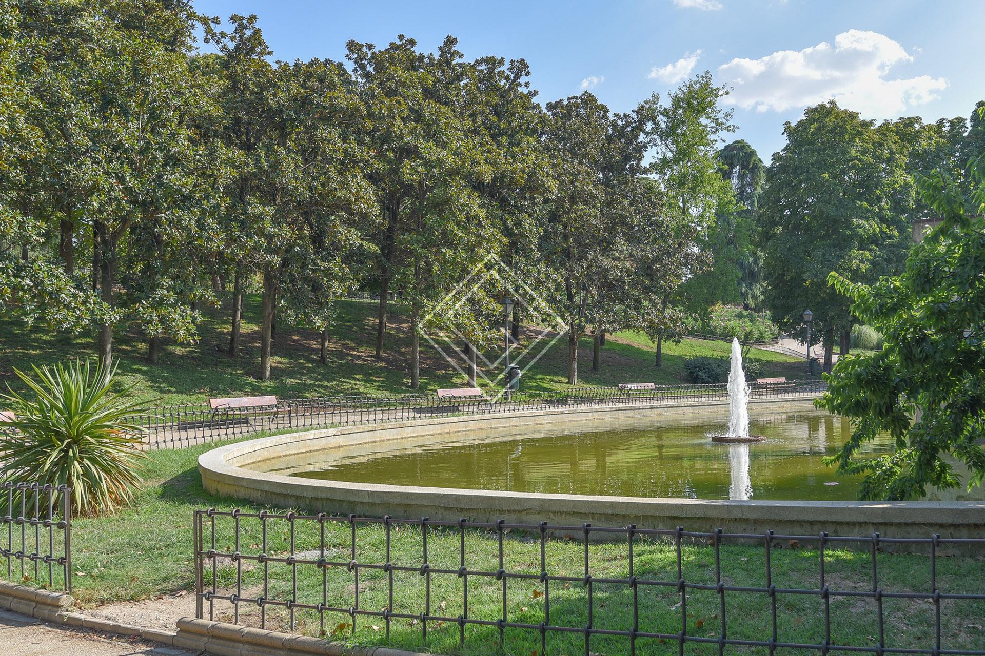 Imagen 31 de la propiedad