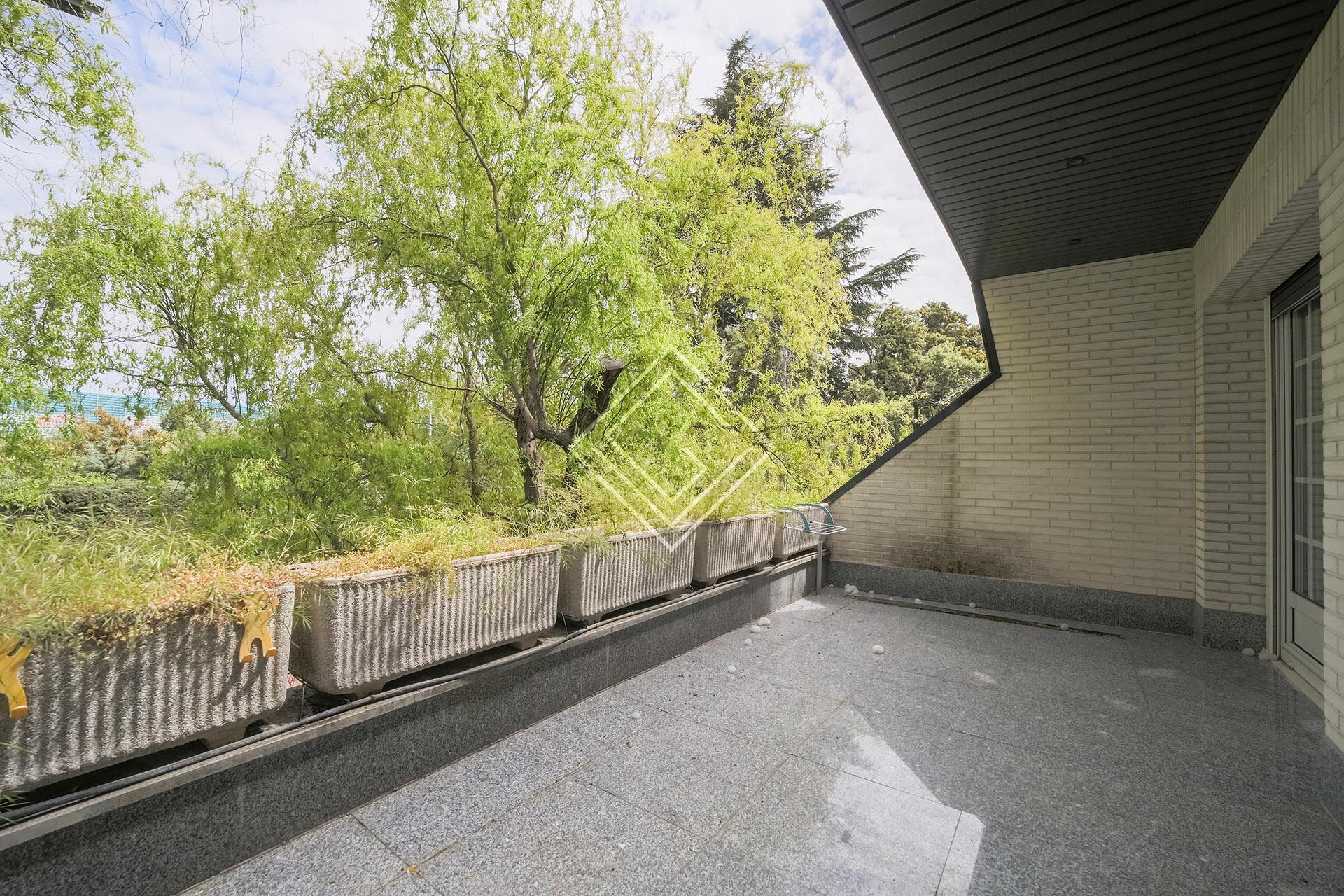 Imagen 52 de la propiedad