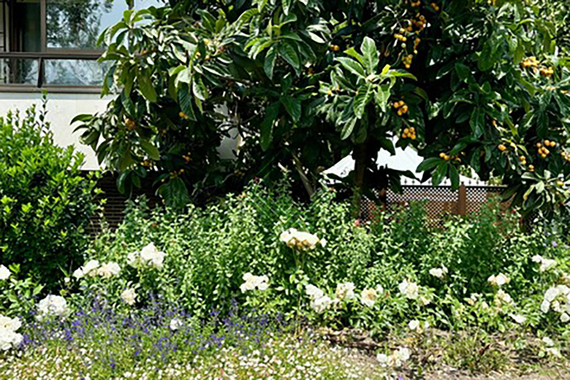 Imagen 6 de la propiedad